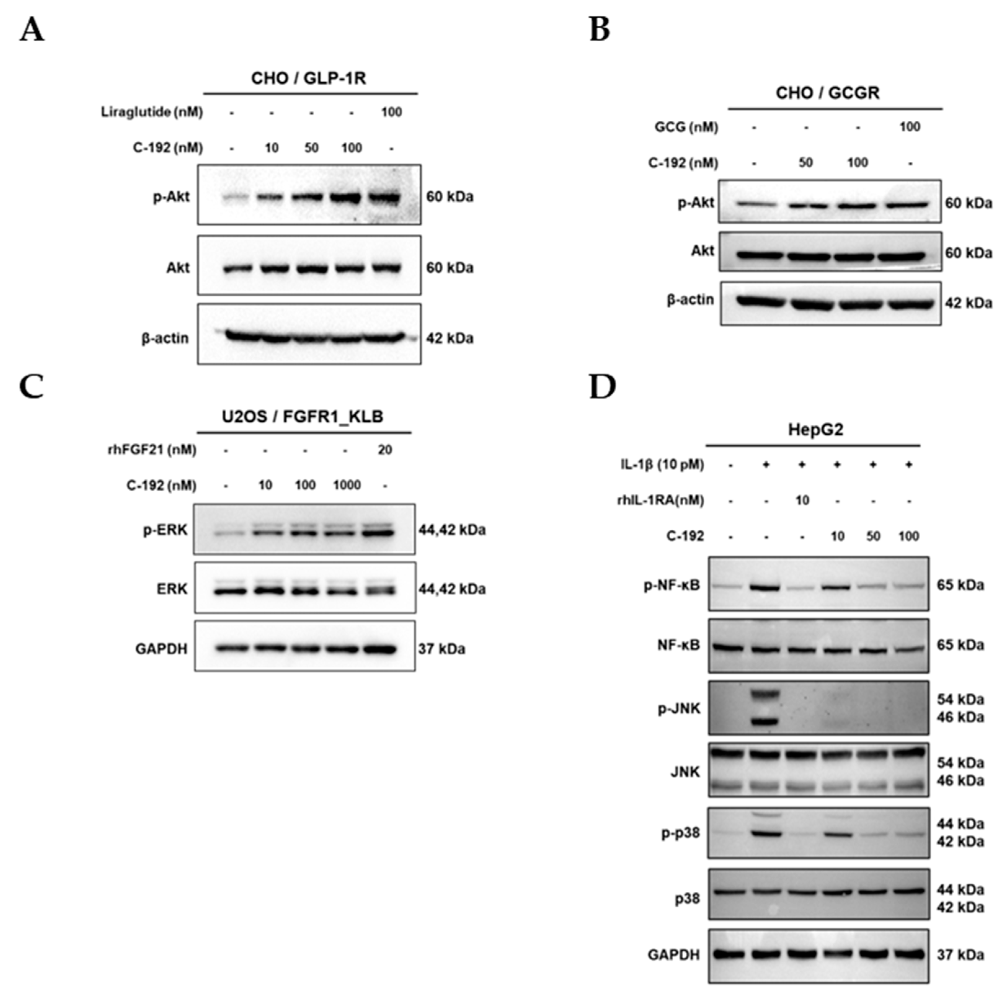 Preprints 84978 g004