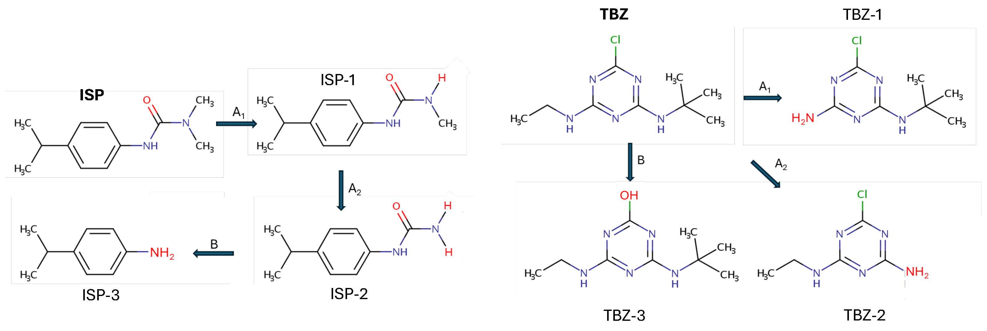 Preprints 106497 g006