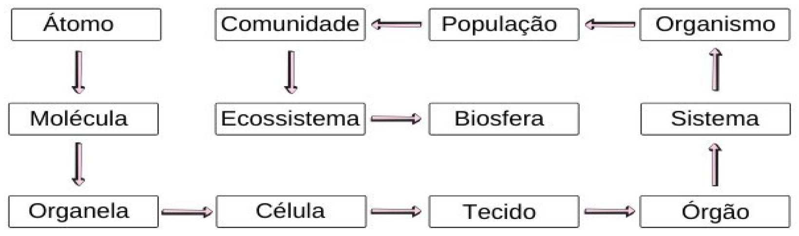 Preprints 109394 g005