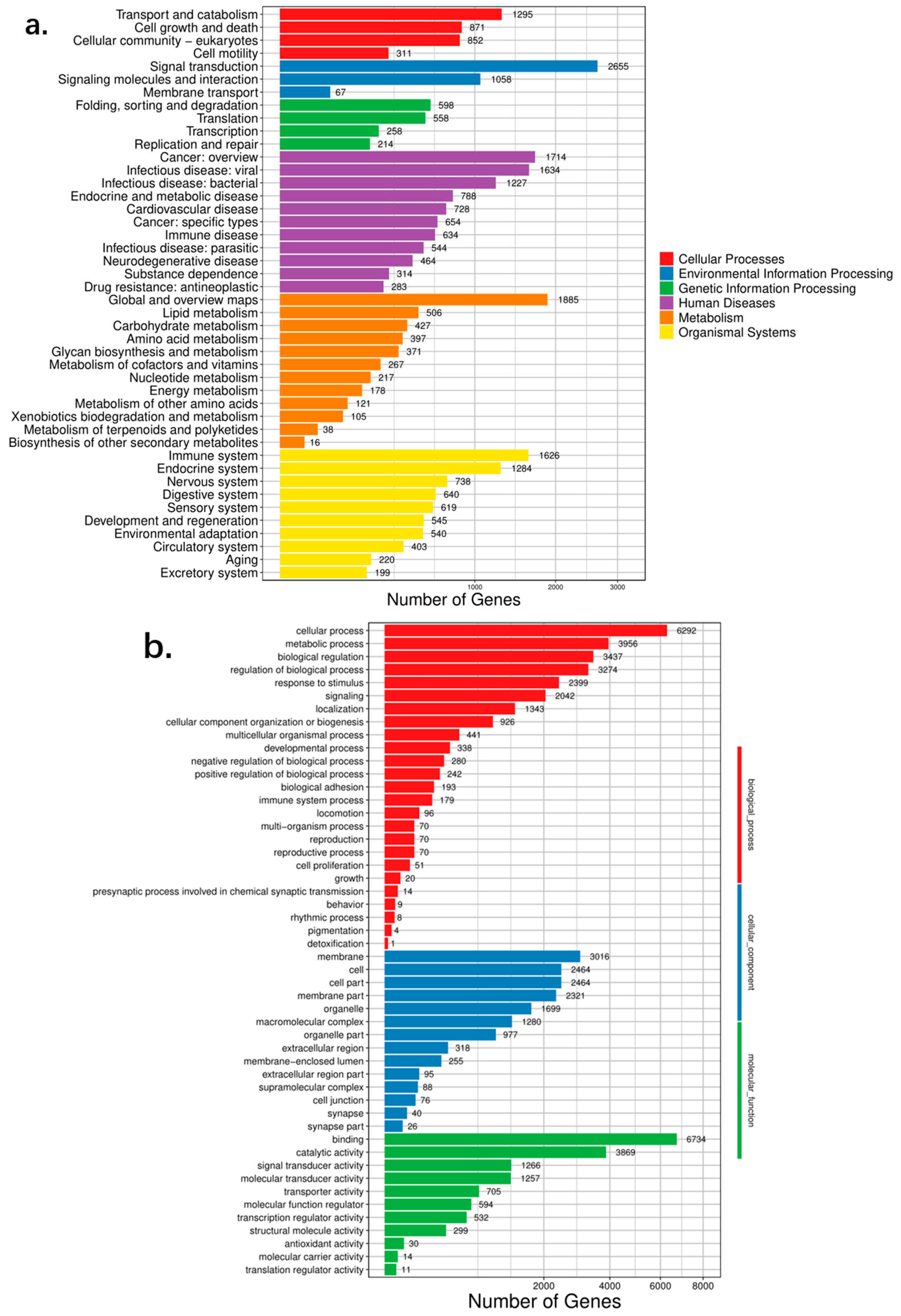 Preprints 90023 g005