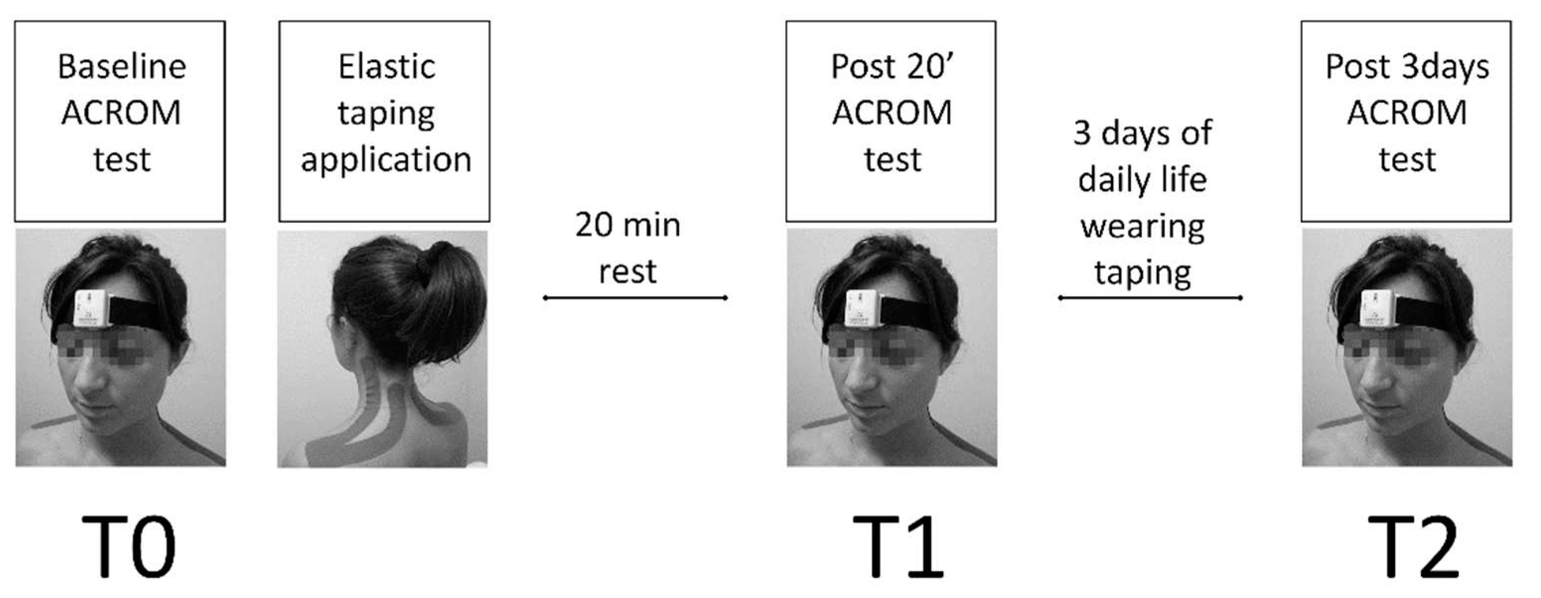 Preprints 78352 g003