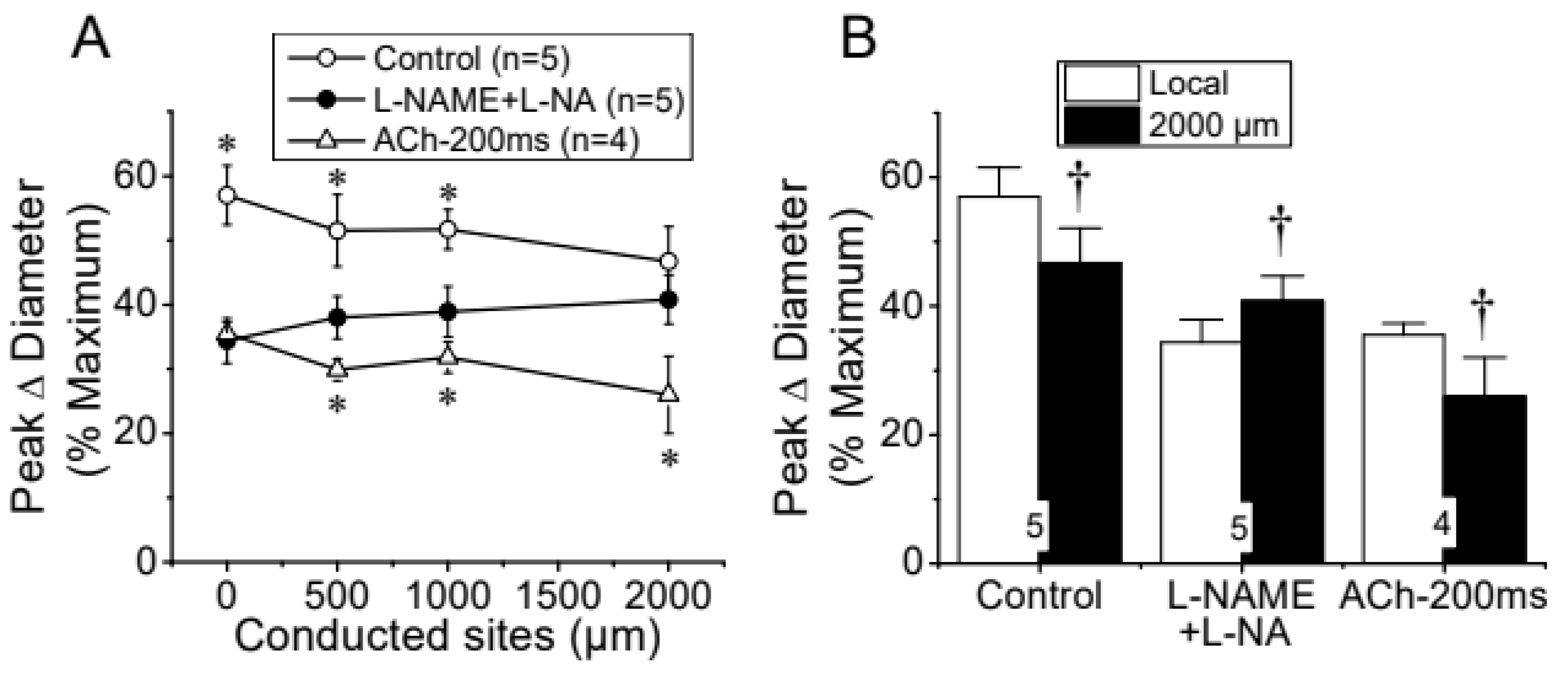 Preprints 117068 g003