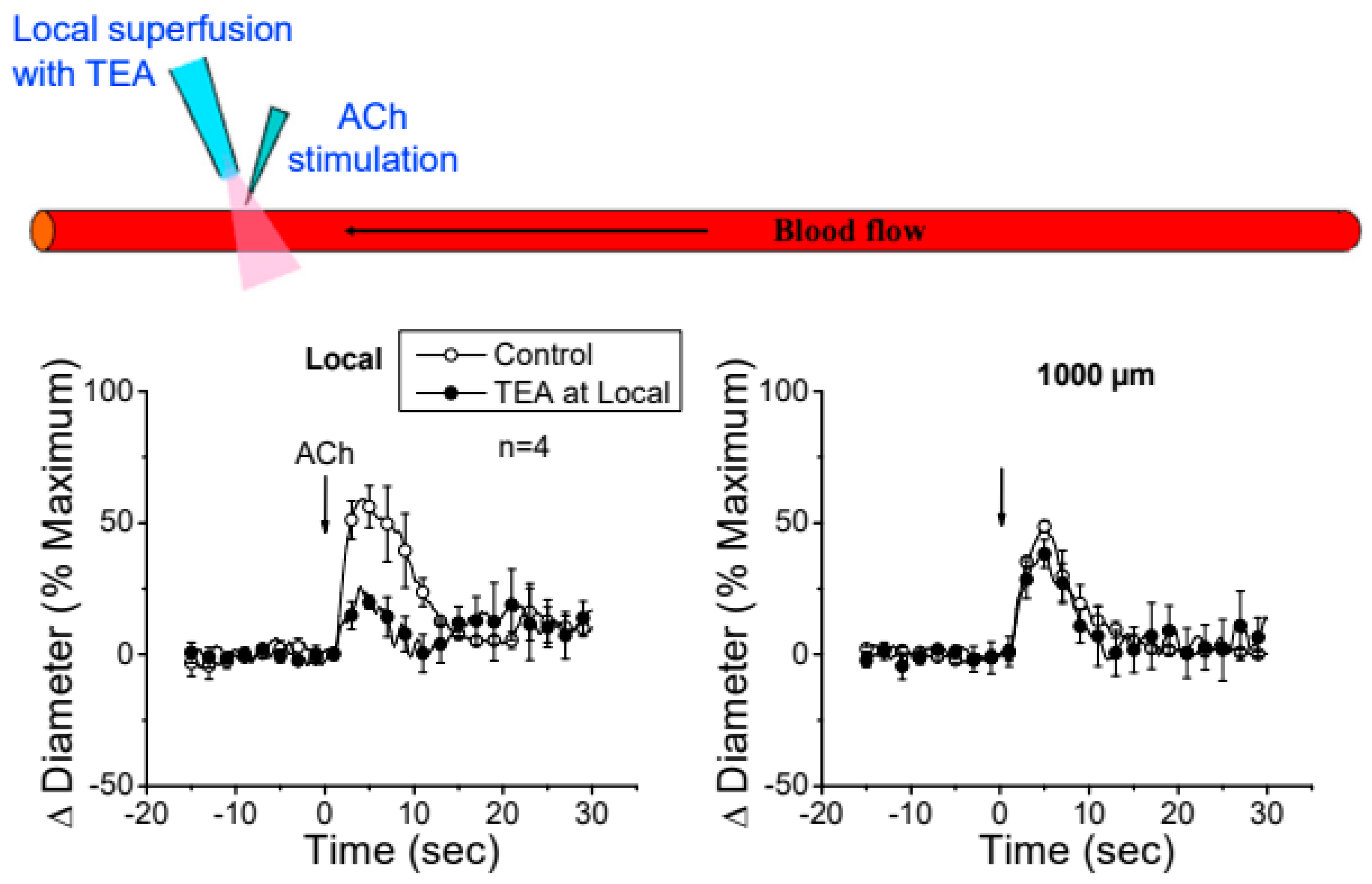 Preprints 117068 g006