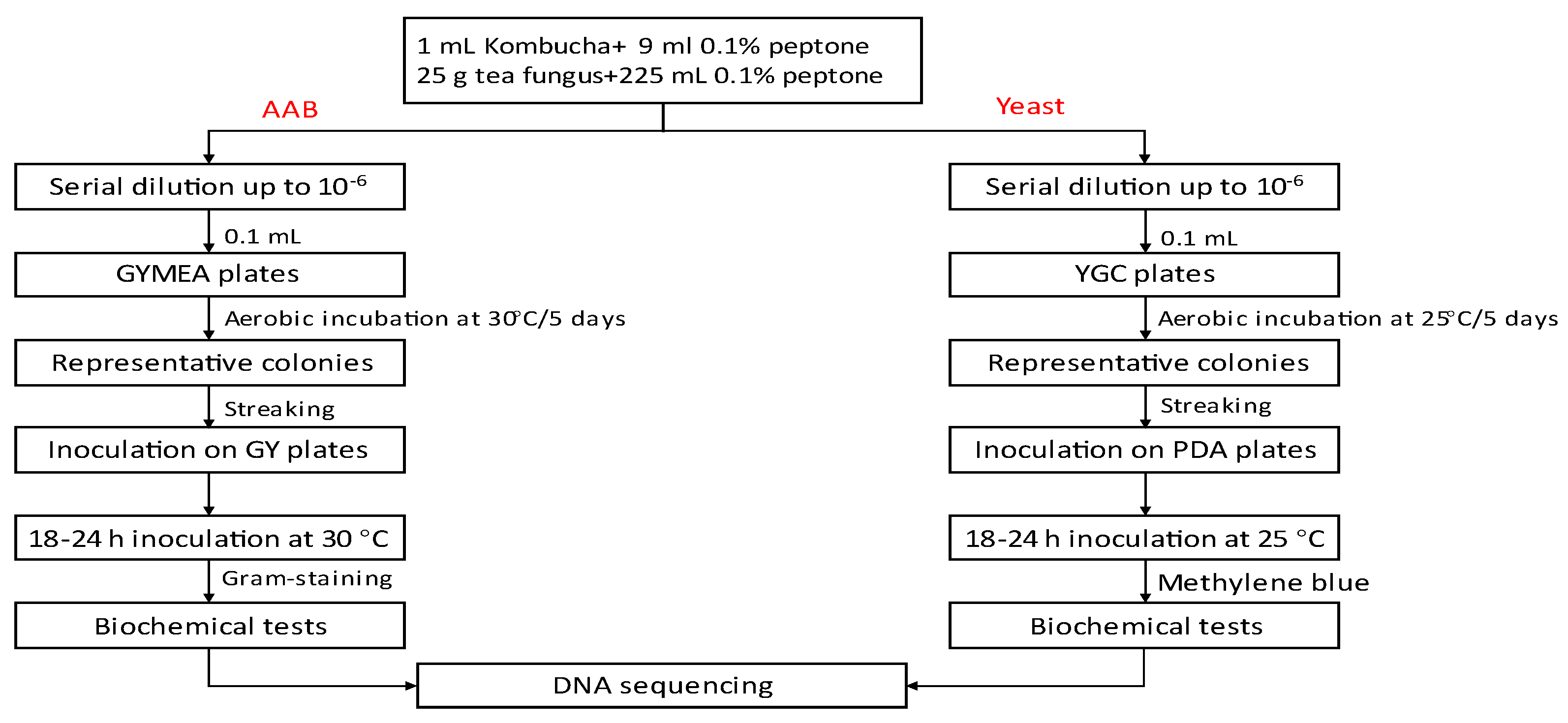 Preprints 72775 g001