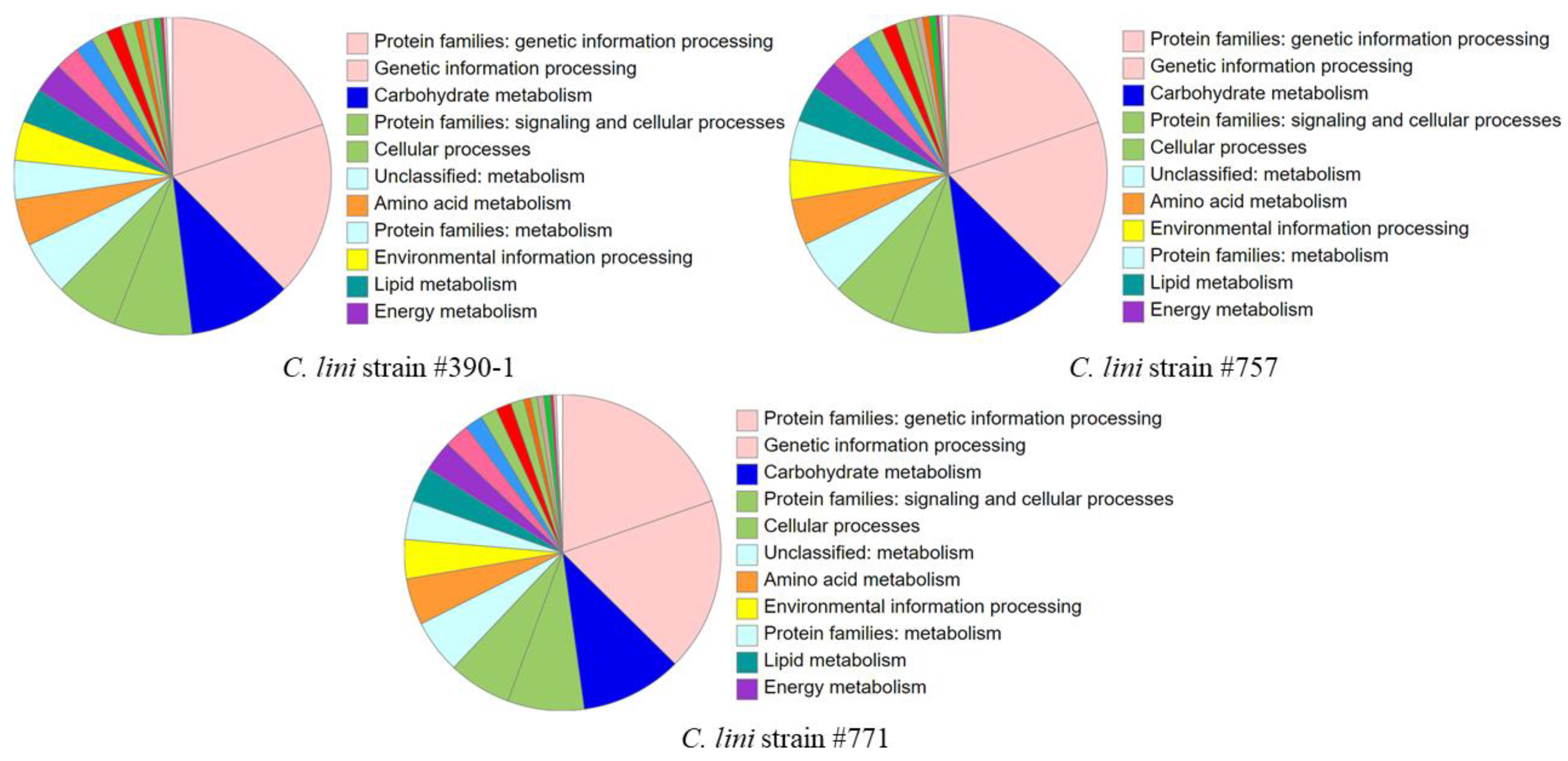 Preprints 93141 g004