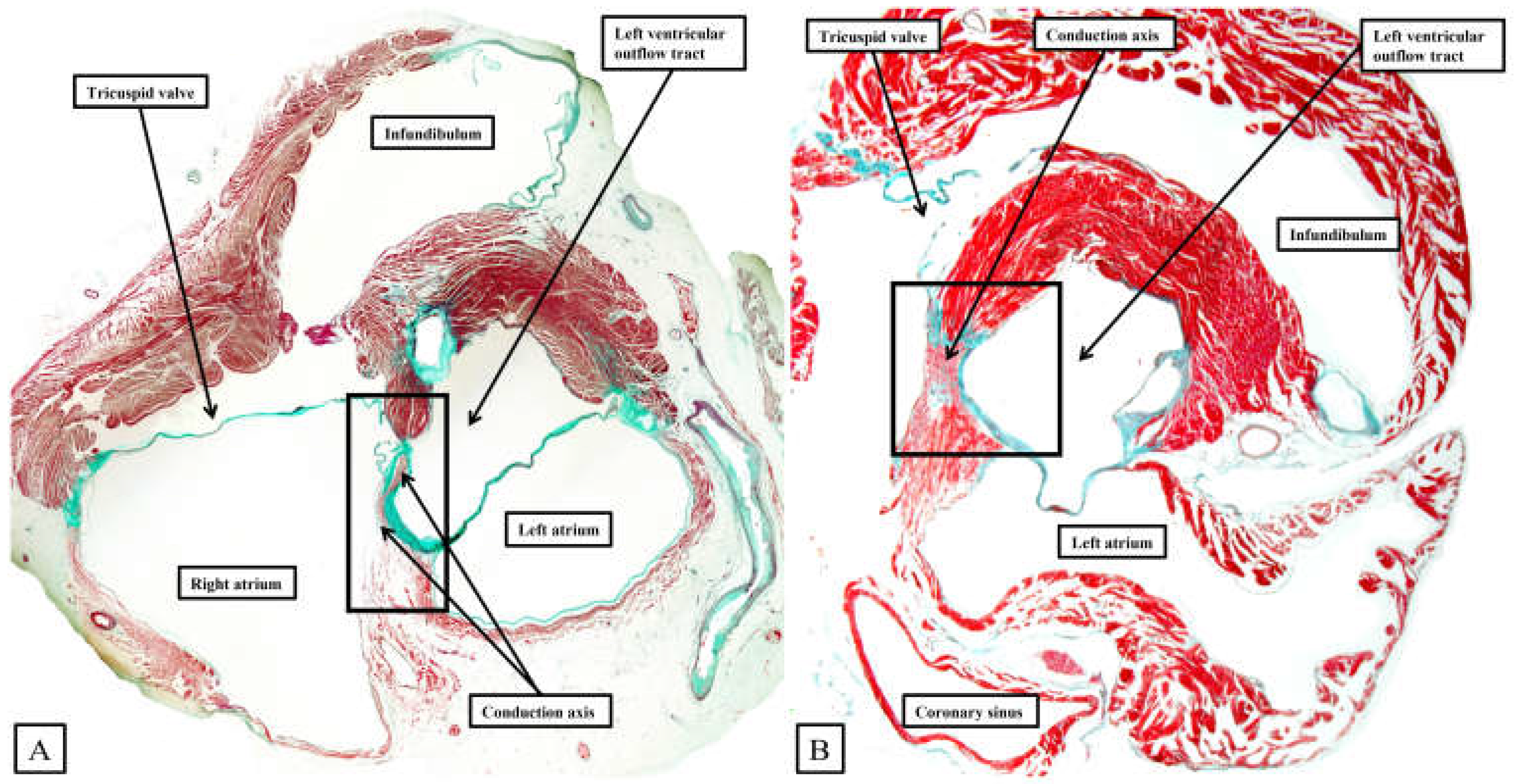 Preprints 119575 g006