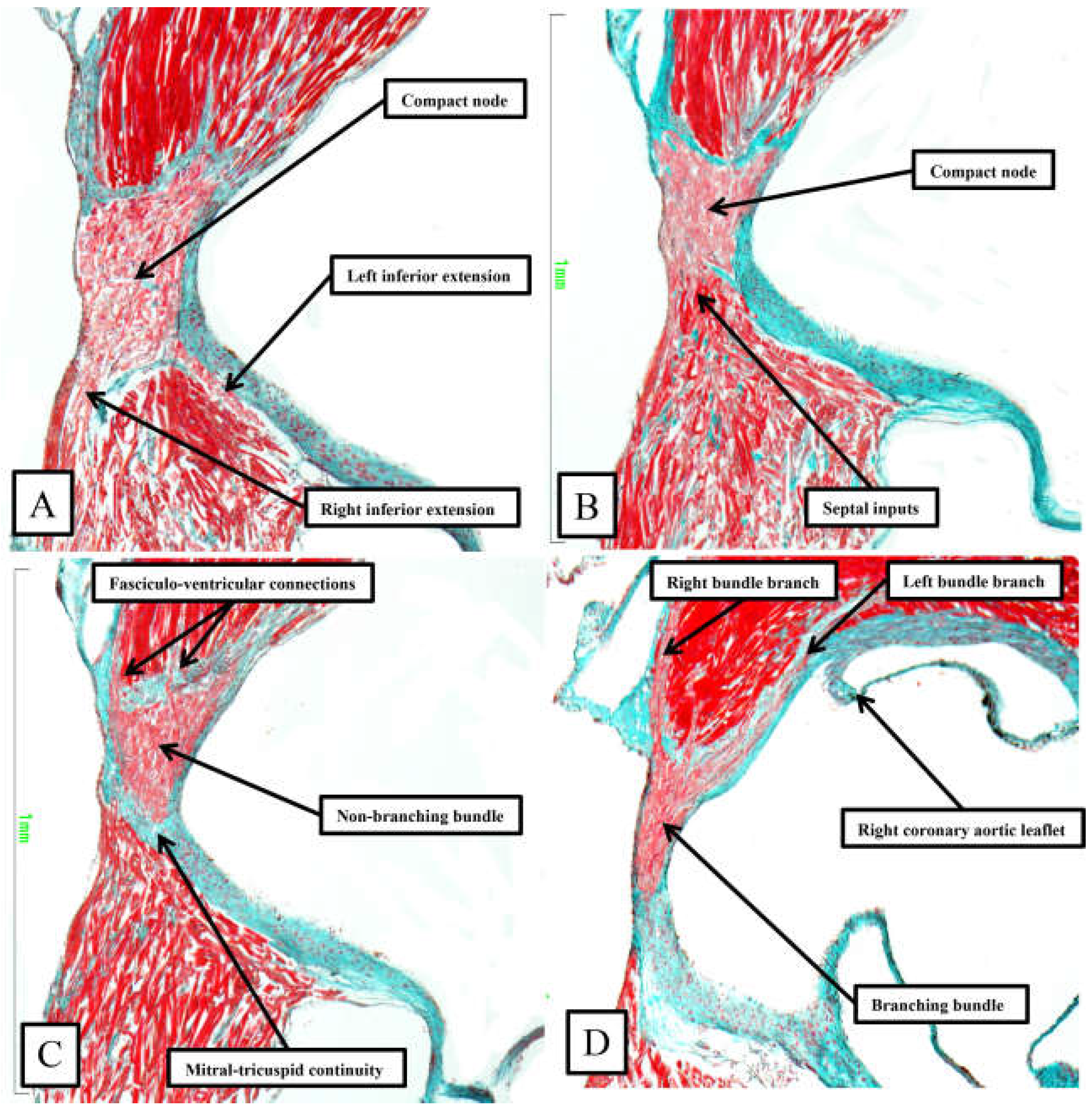 Preprints 119575 g009