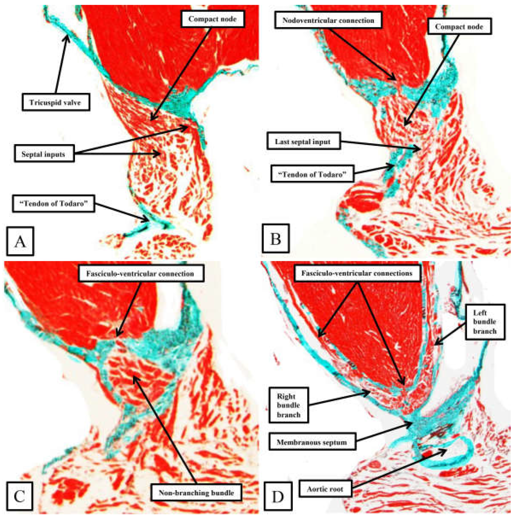 Preprints 119575 g010