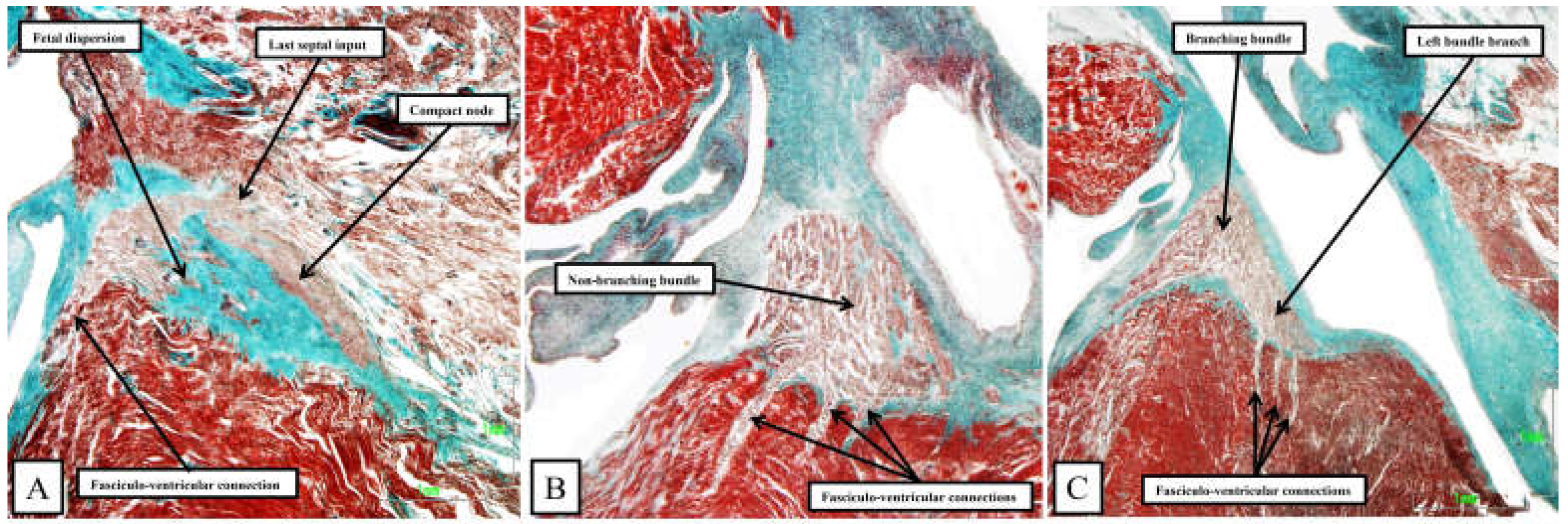 Preprints 119575 g011