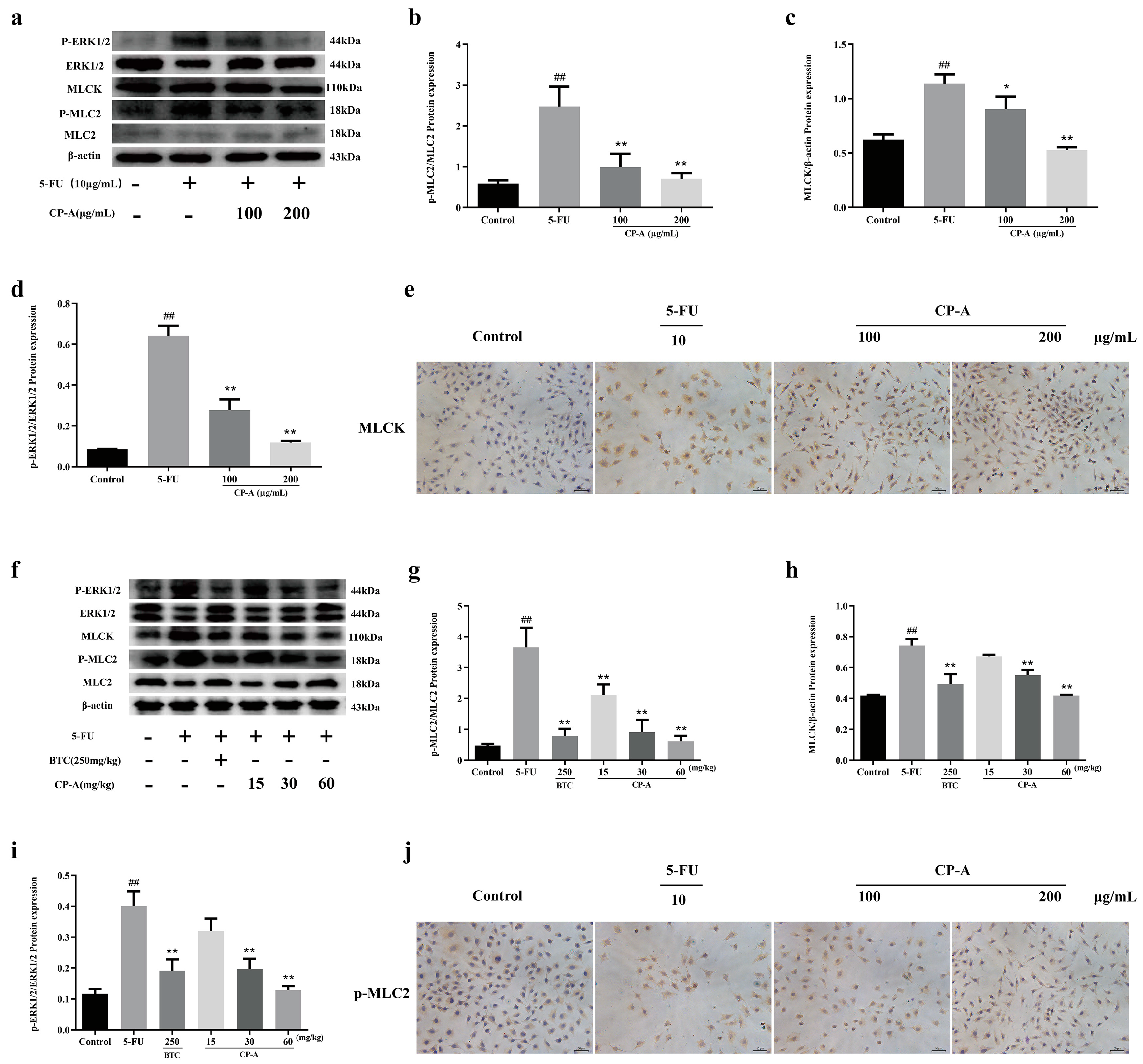 Preprints 94416 g004