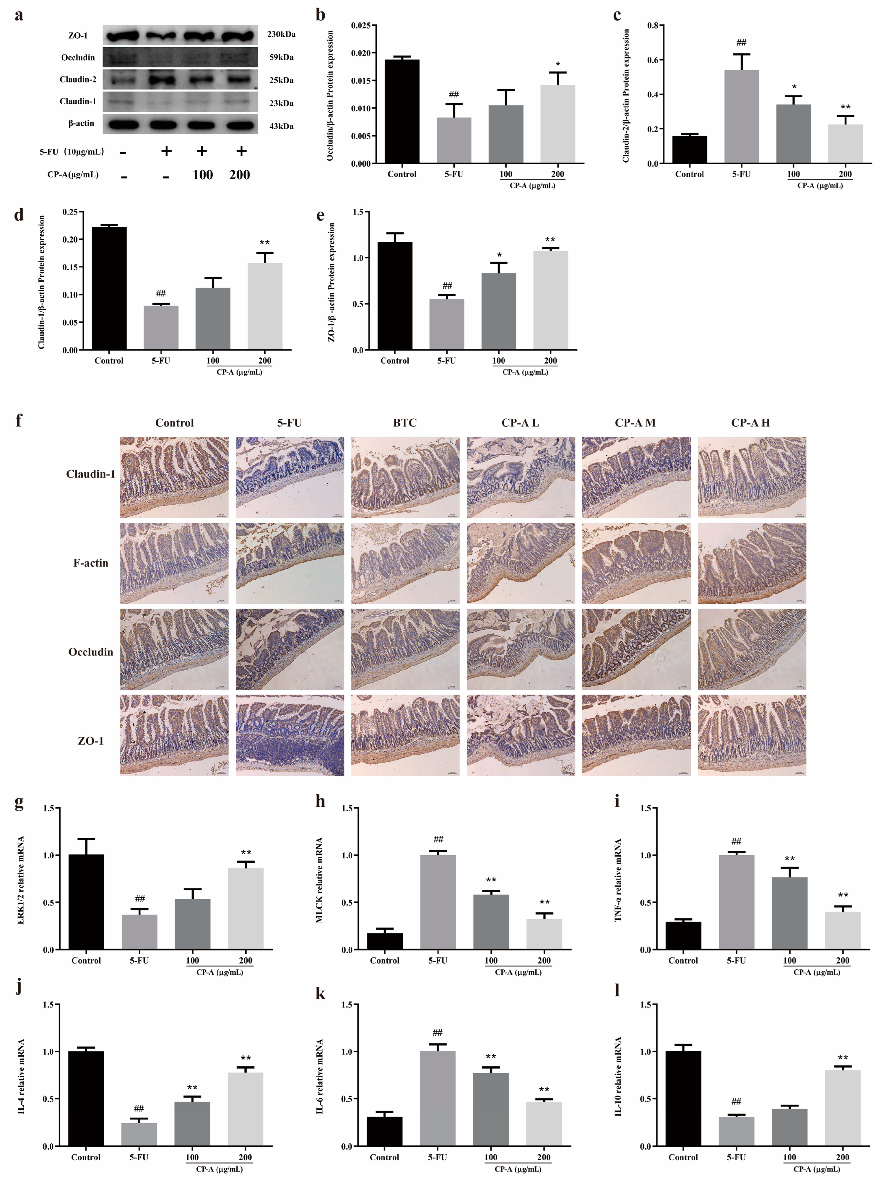 Preprints 94416 g005