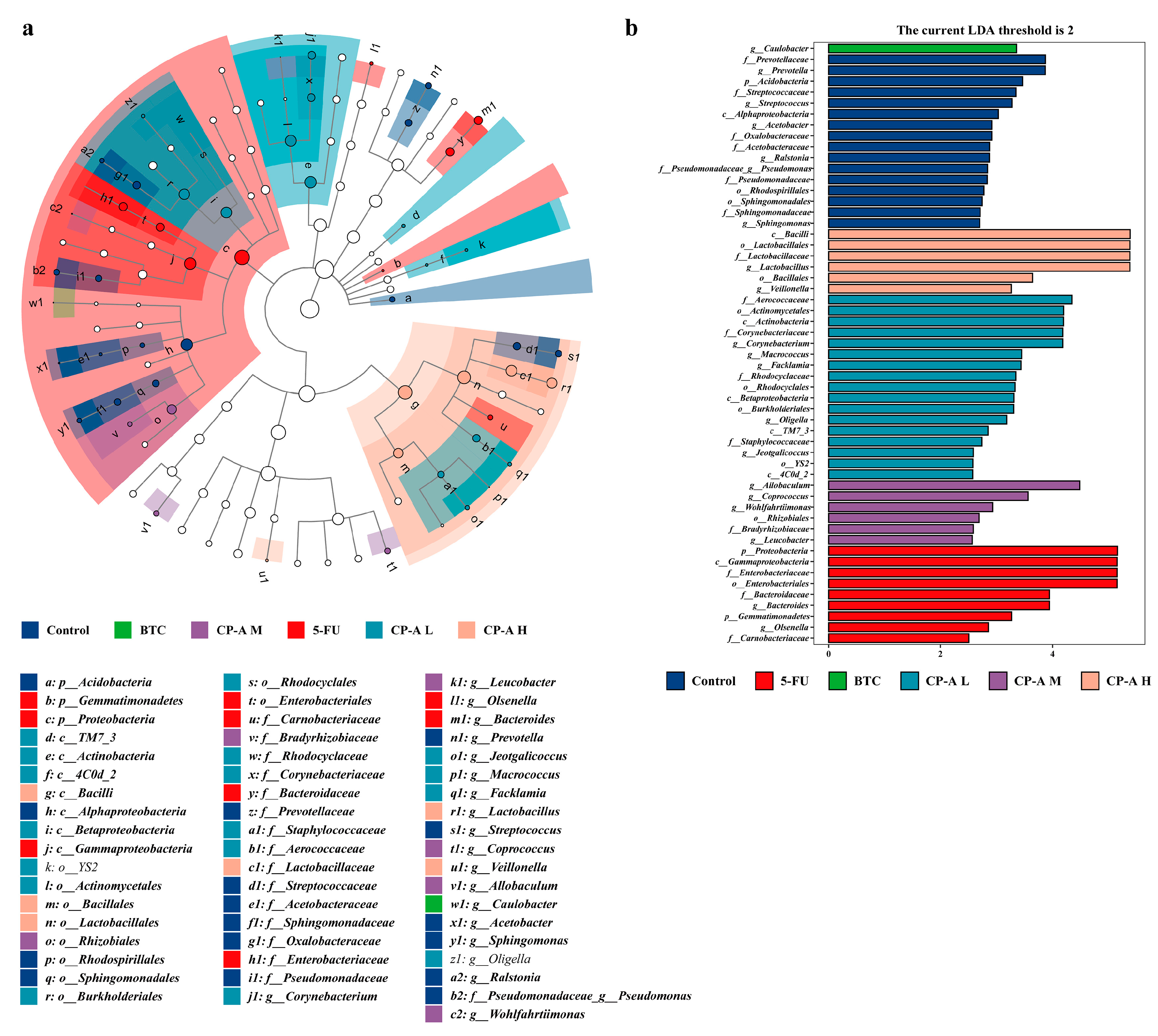 Preprints 94416 g008