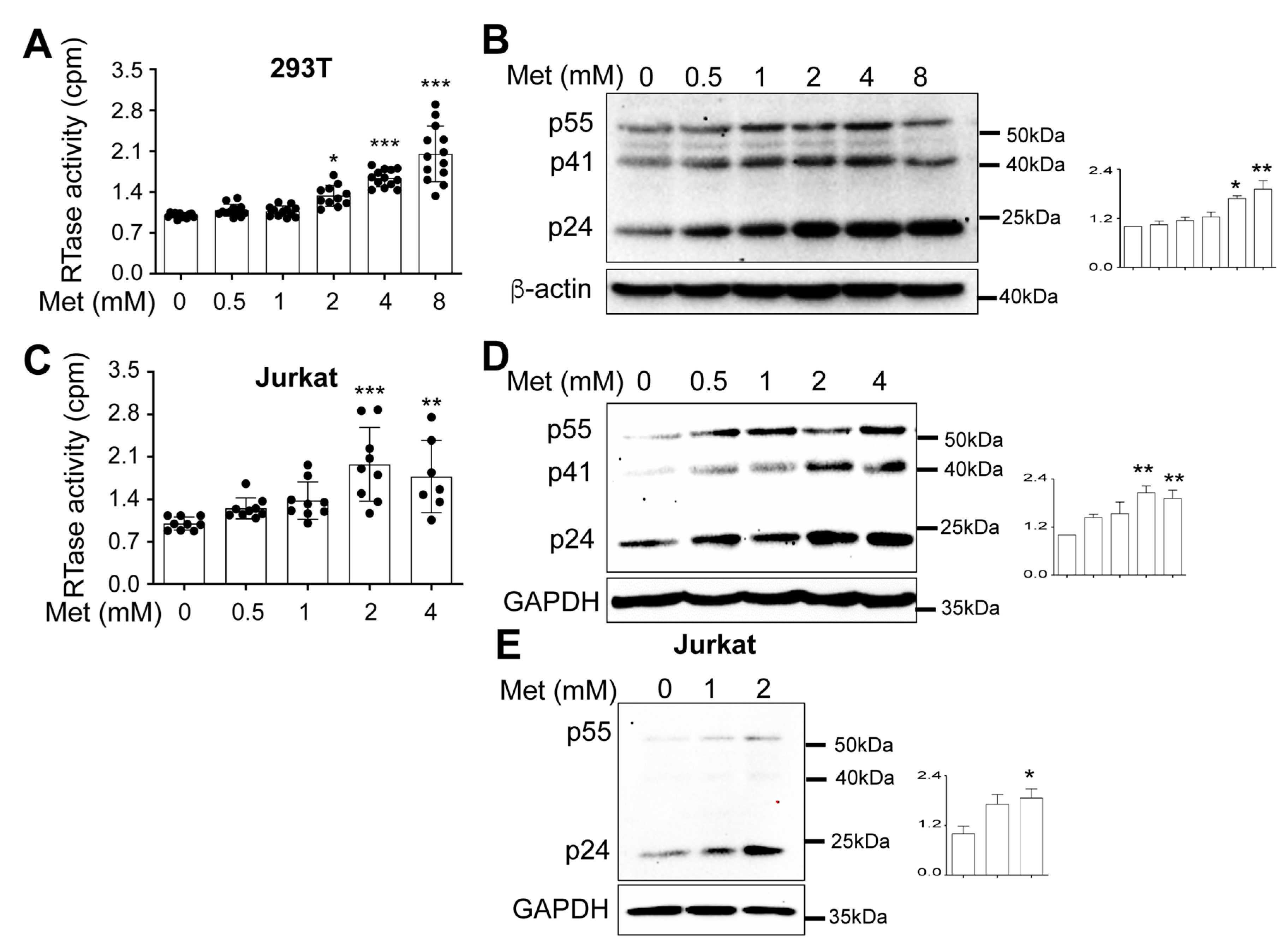 Preprints 71381 g001