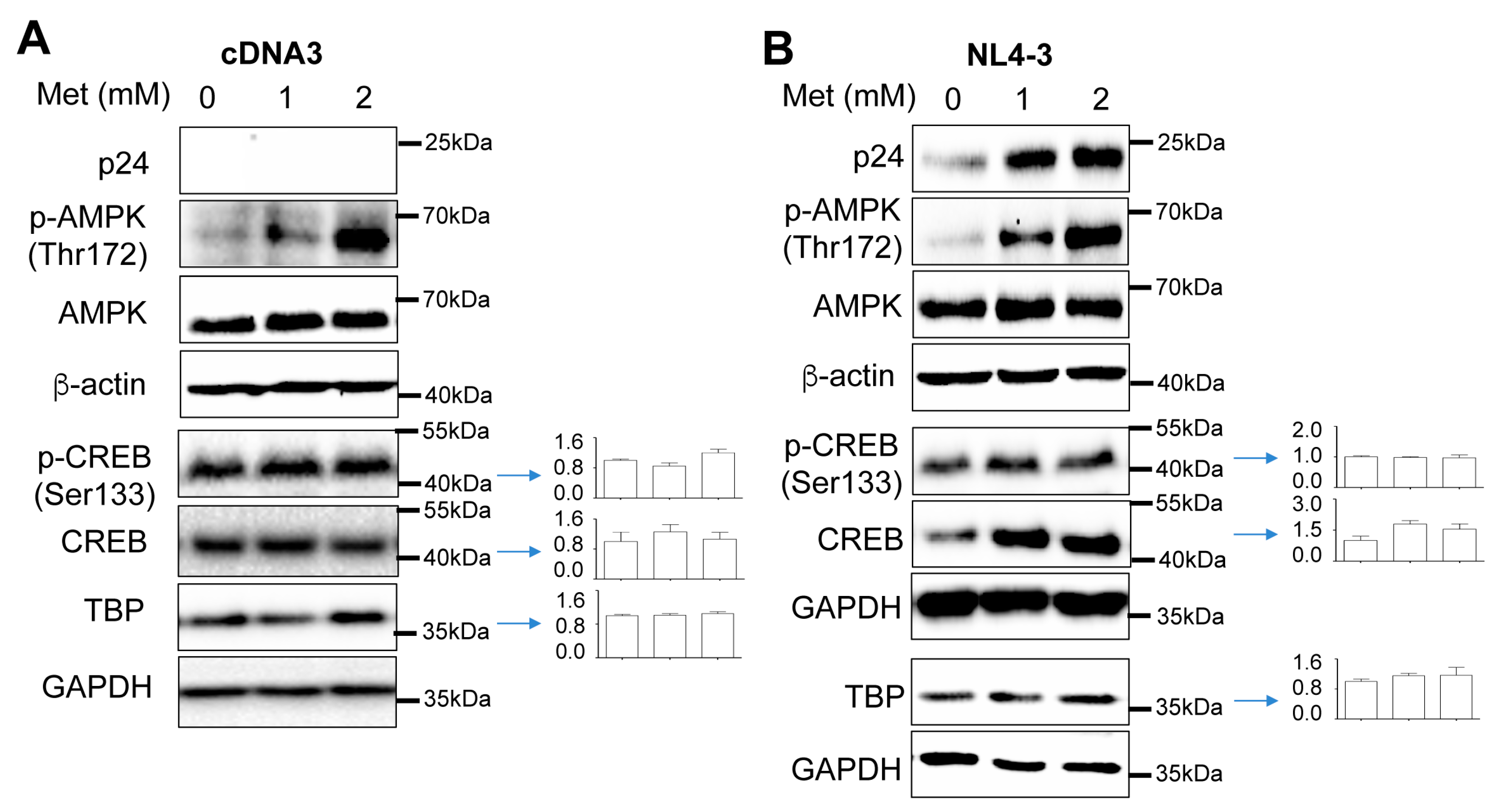 Preprints 71381 g004