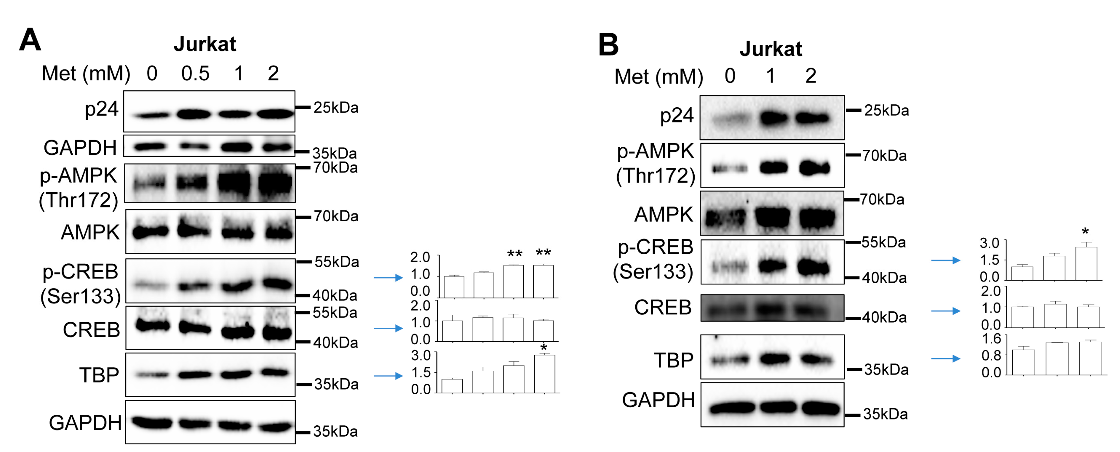 Preprints 71381 g005