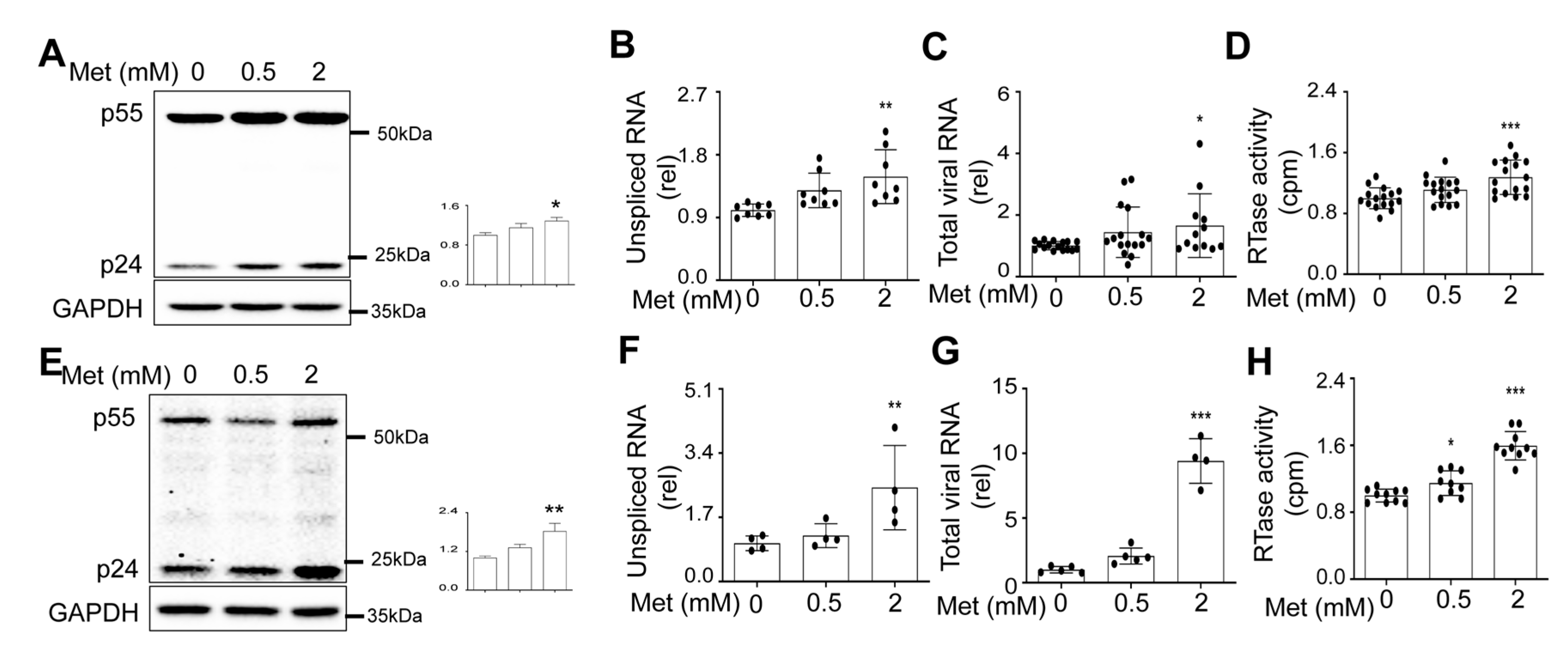 Preprints 71381 g007