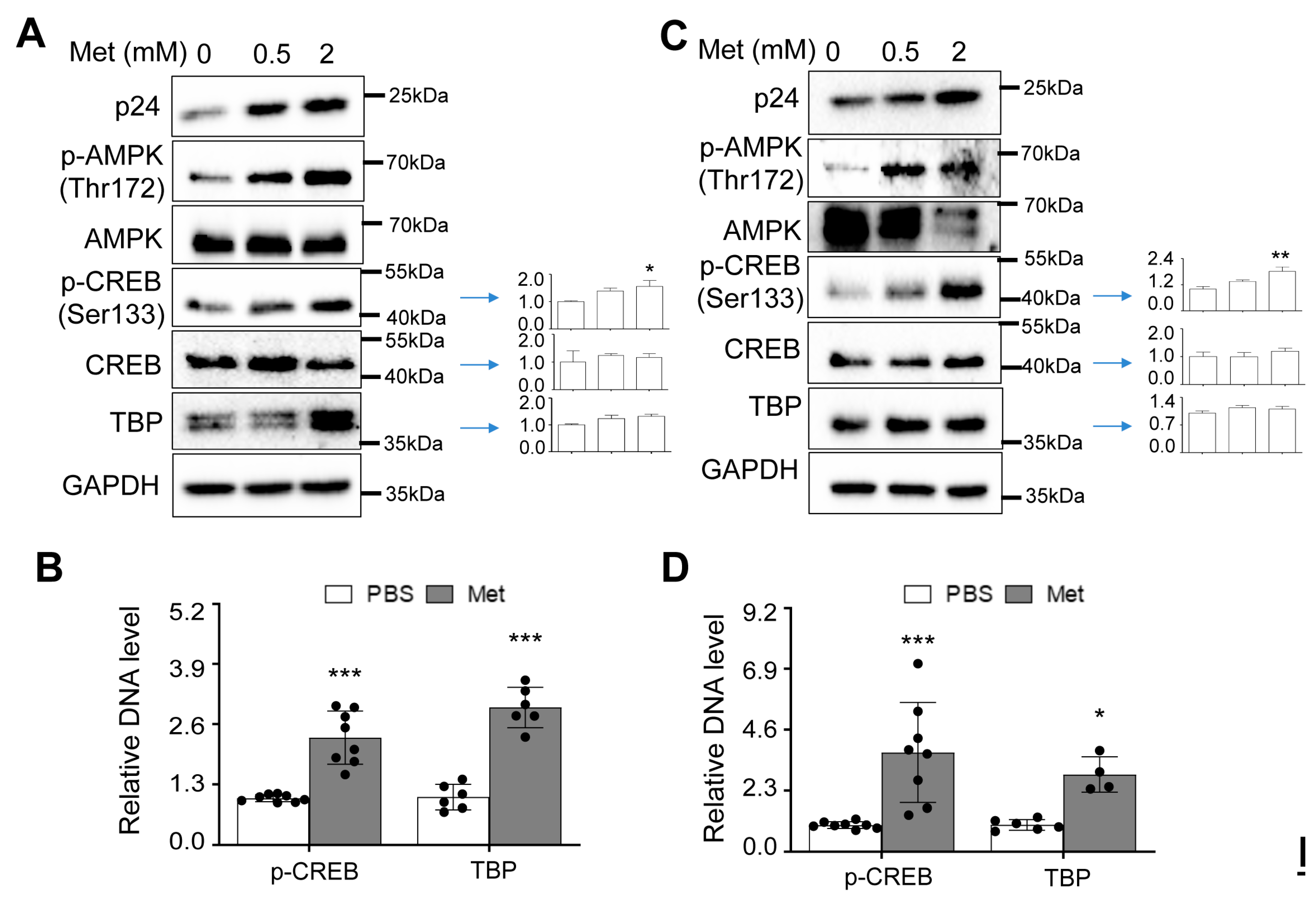 Preprints 71381 g008