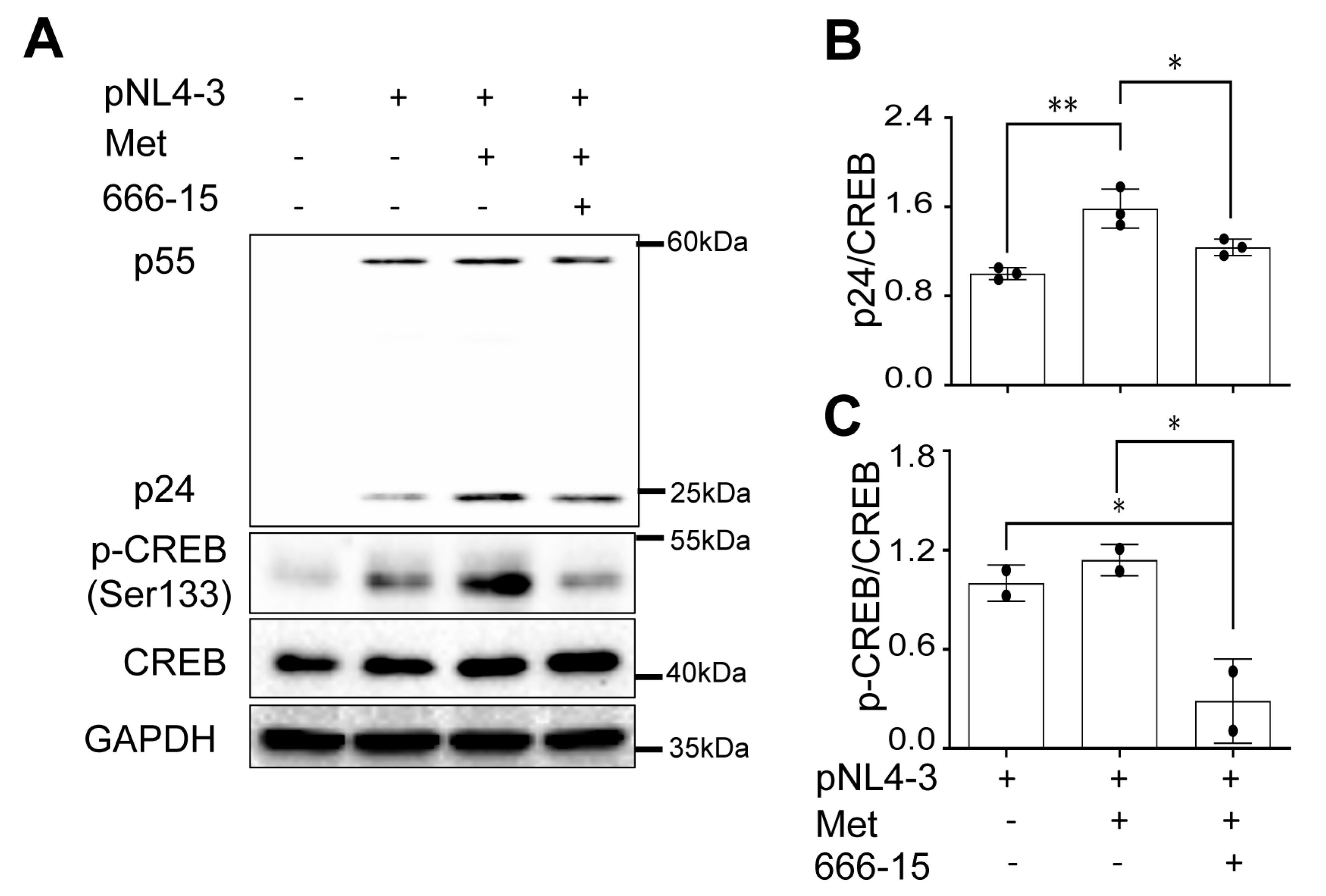 Preprints 71381 g009