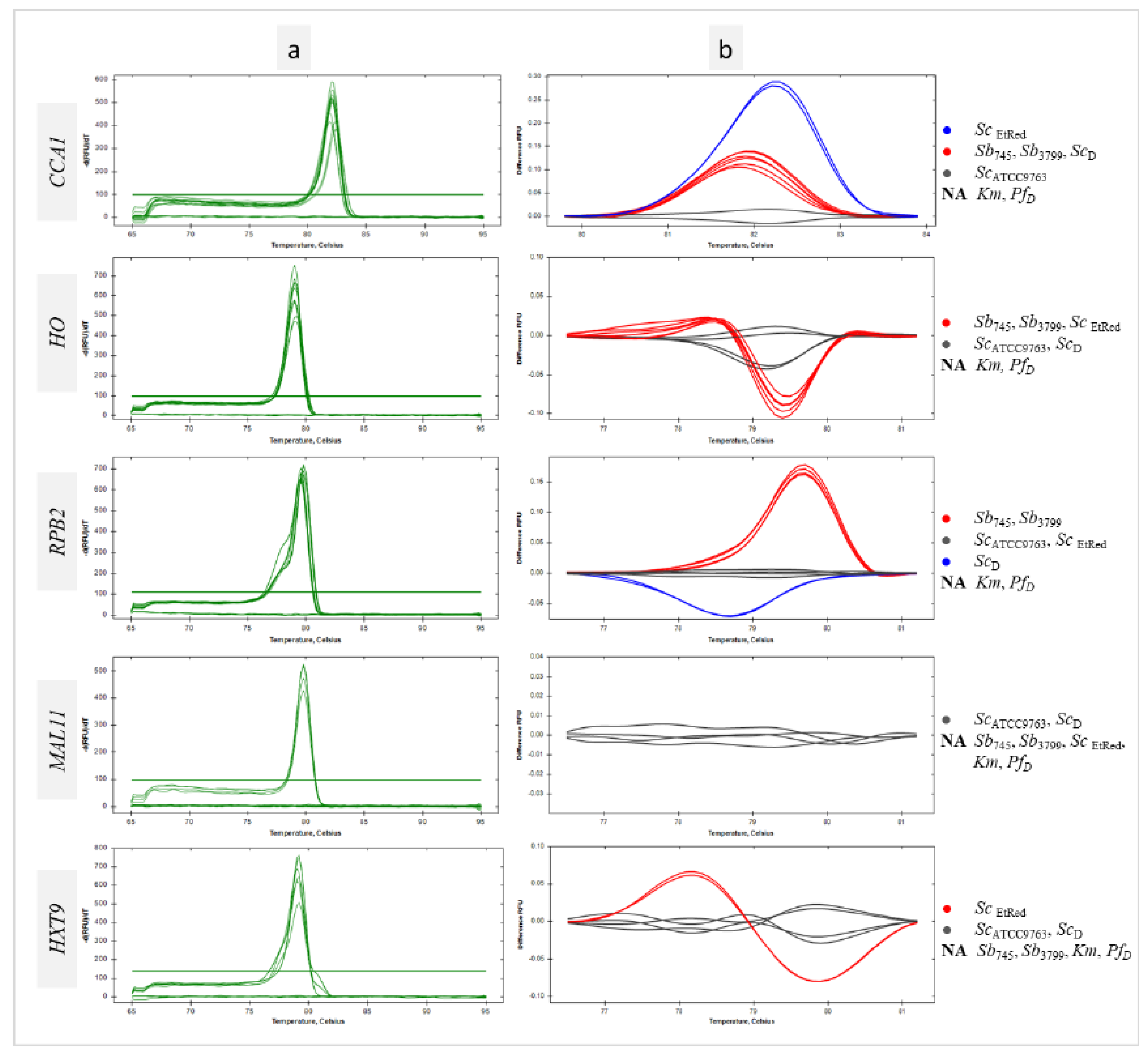 Preprints 117434 g003