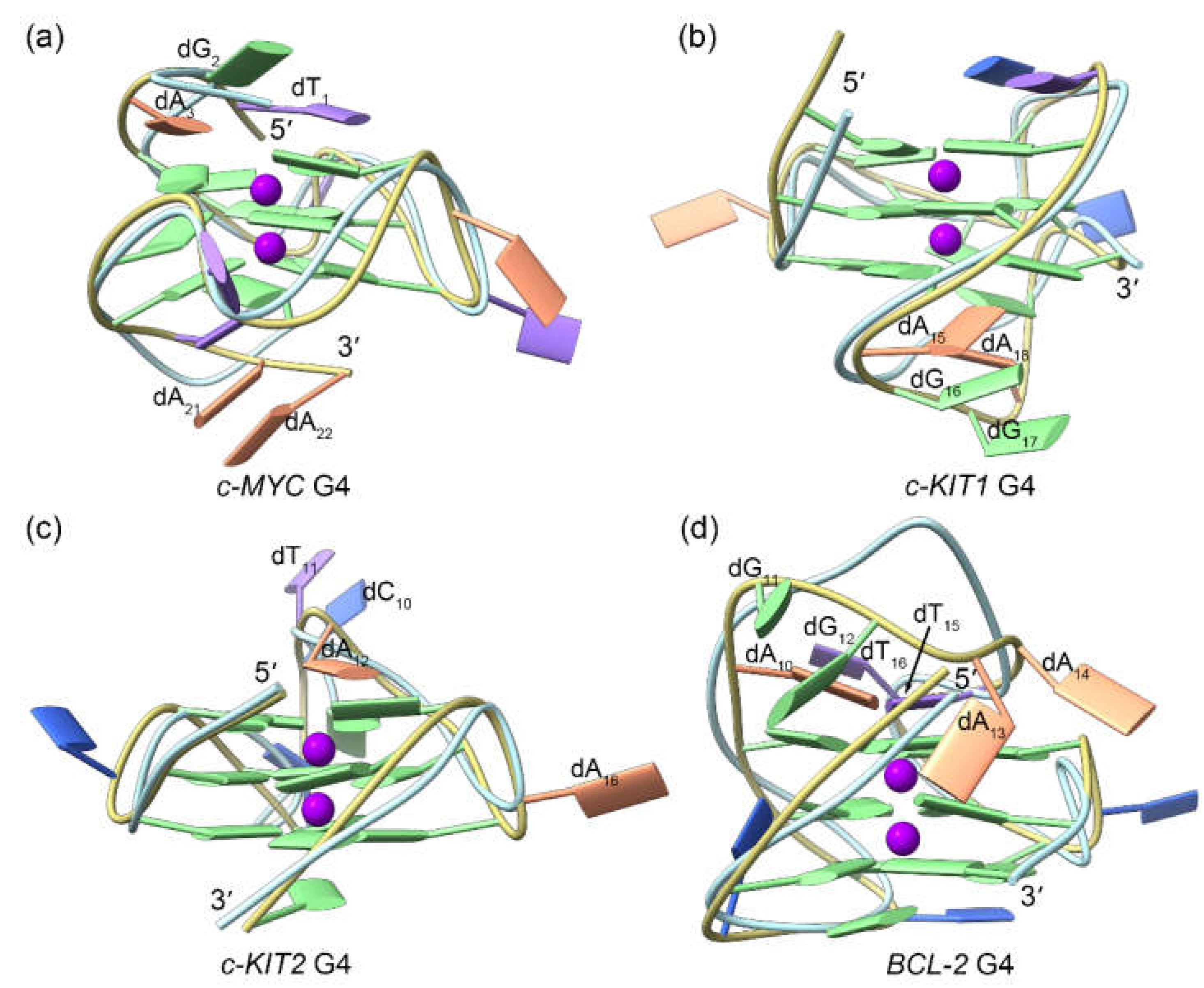 Preprints 93063 g003