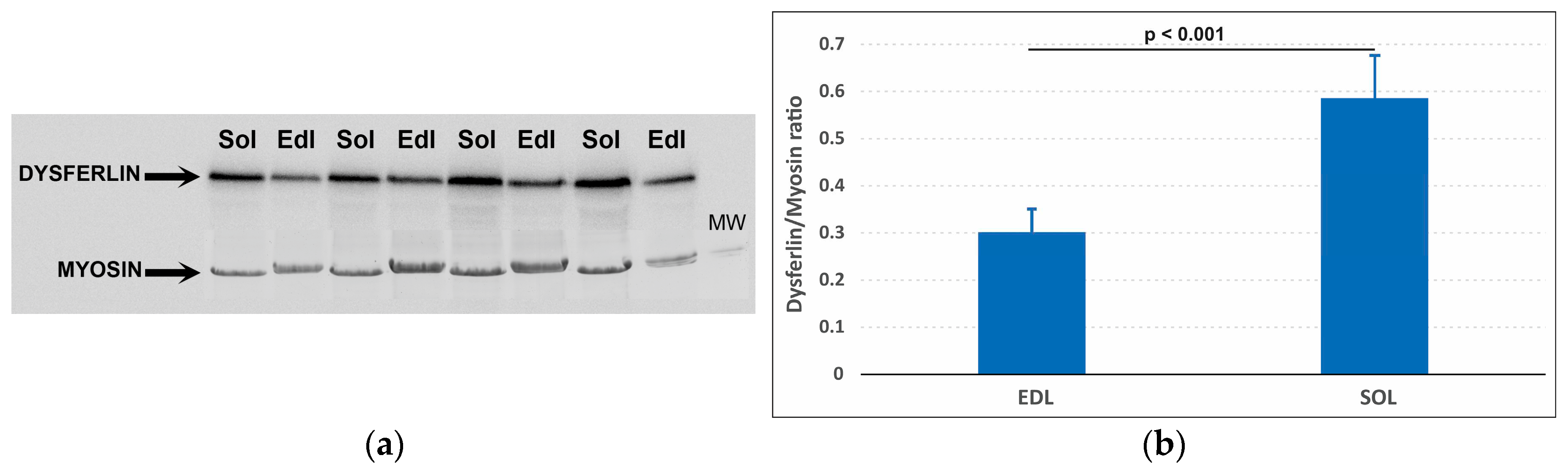 Preprints 96454 g001