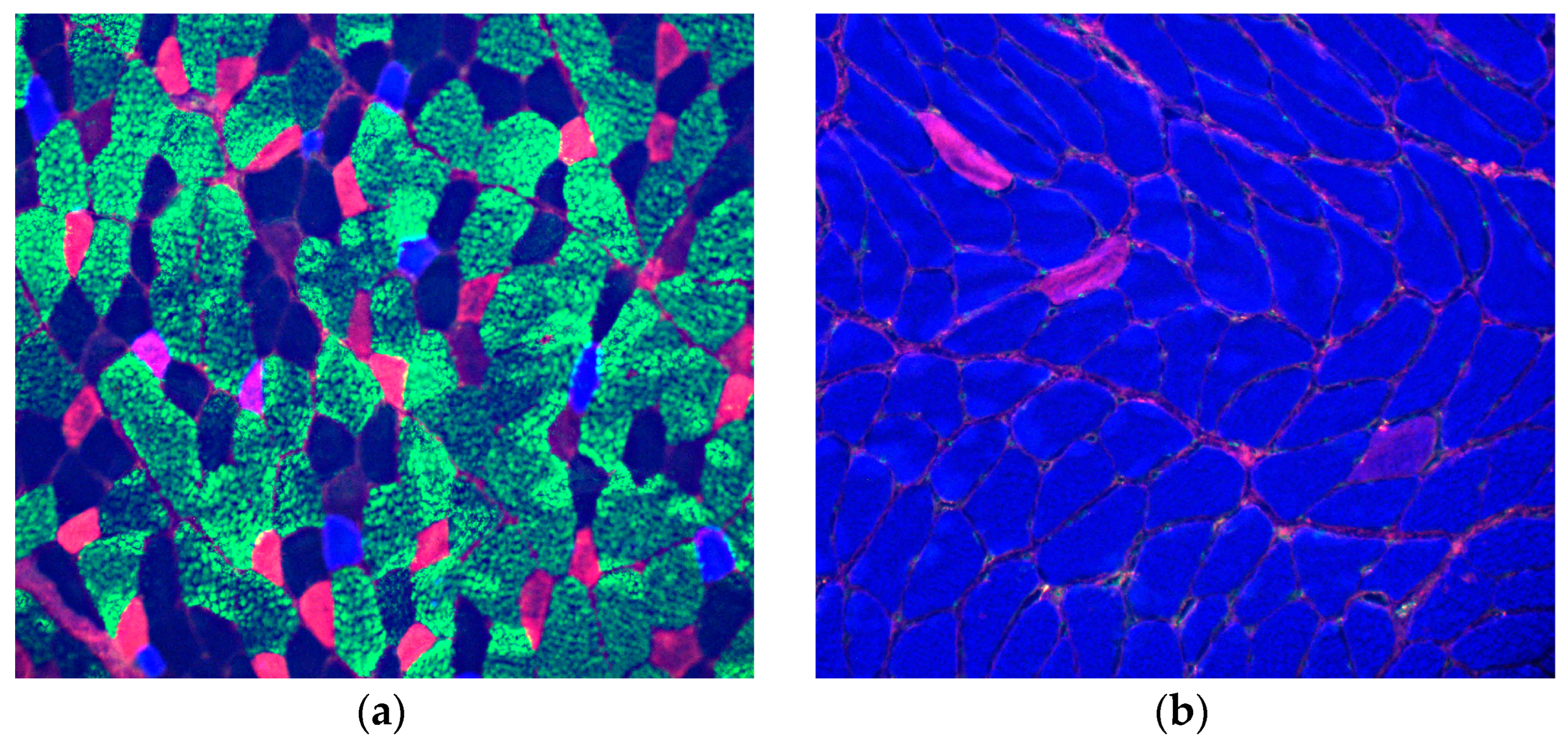 Preprints 96454 g002