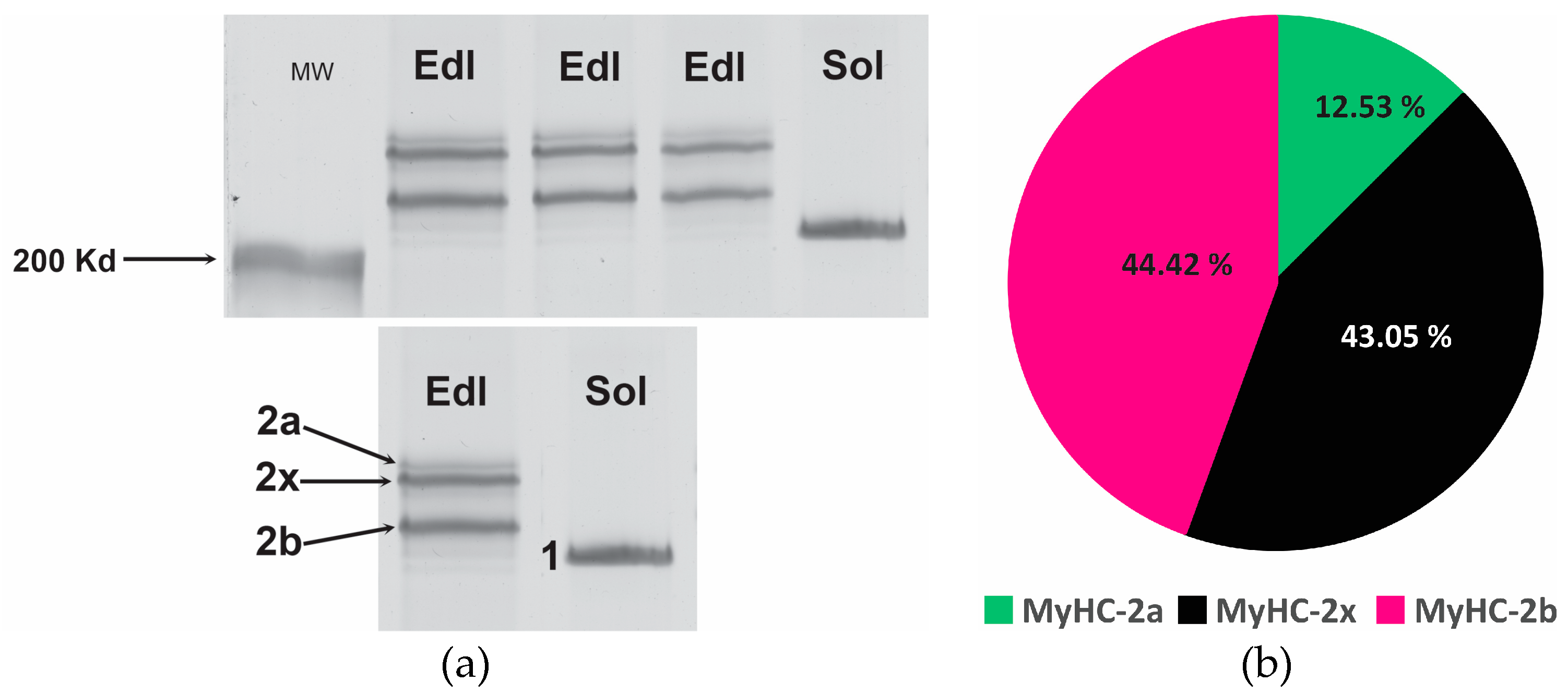 Preprints 96454 g004