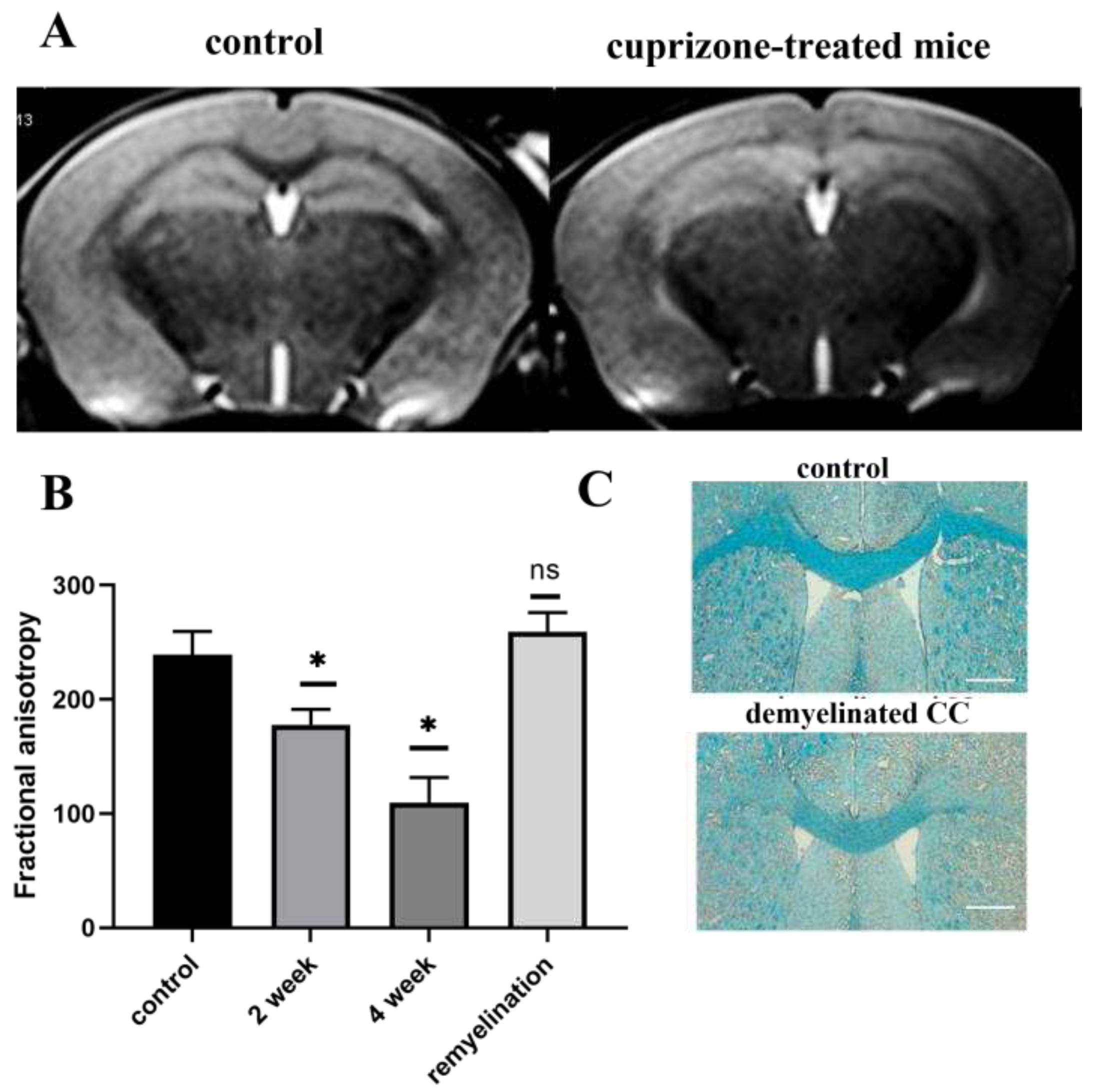 Preprints 77933 g002