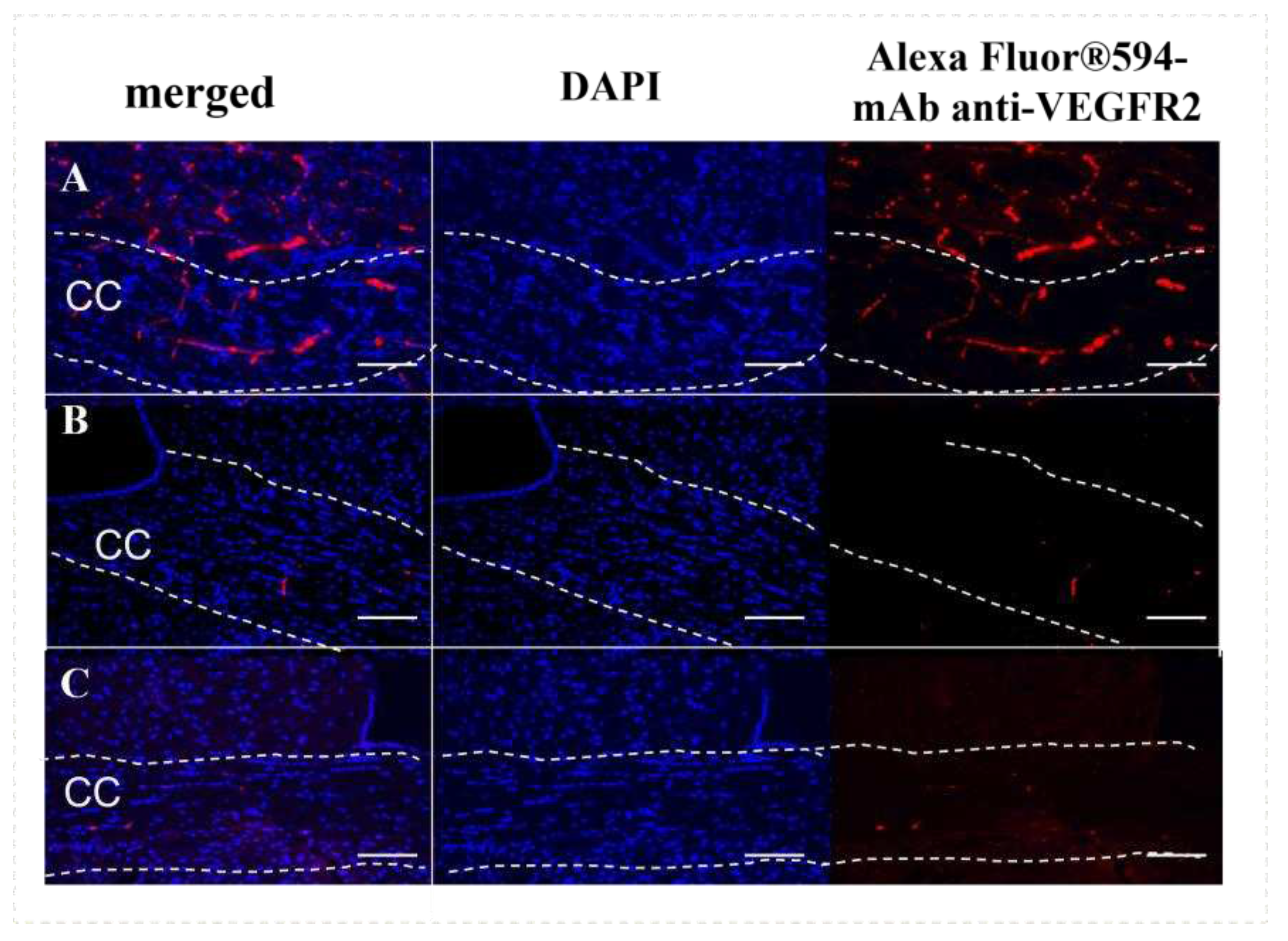 Preprints 77933 g004