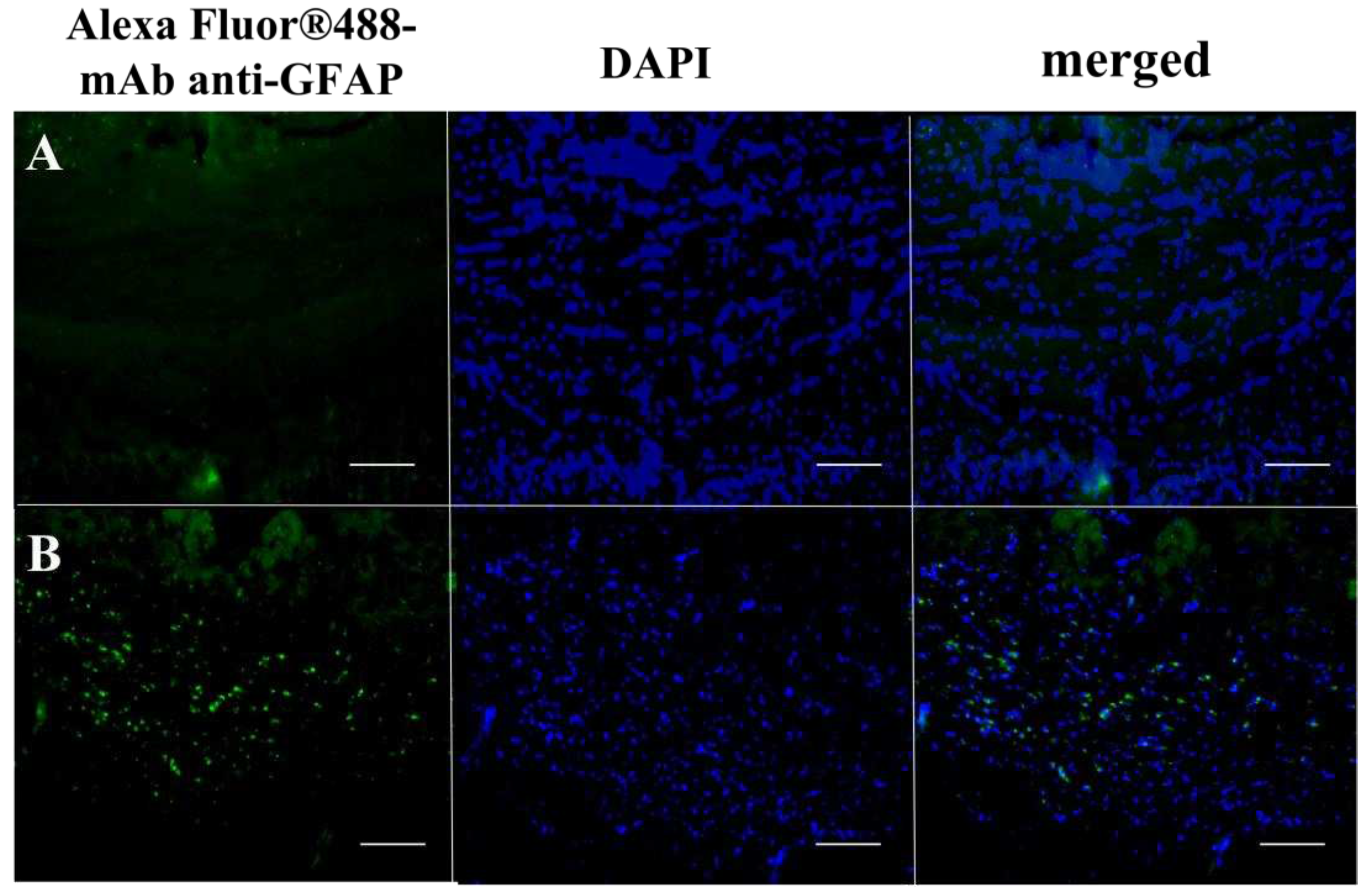 Preprints 77933 g005