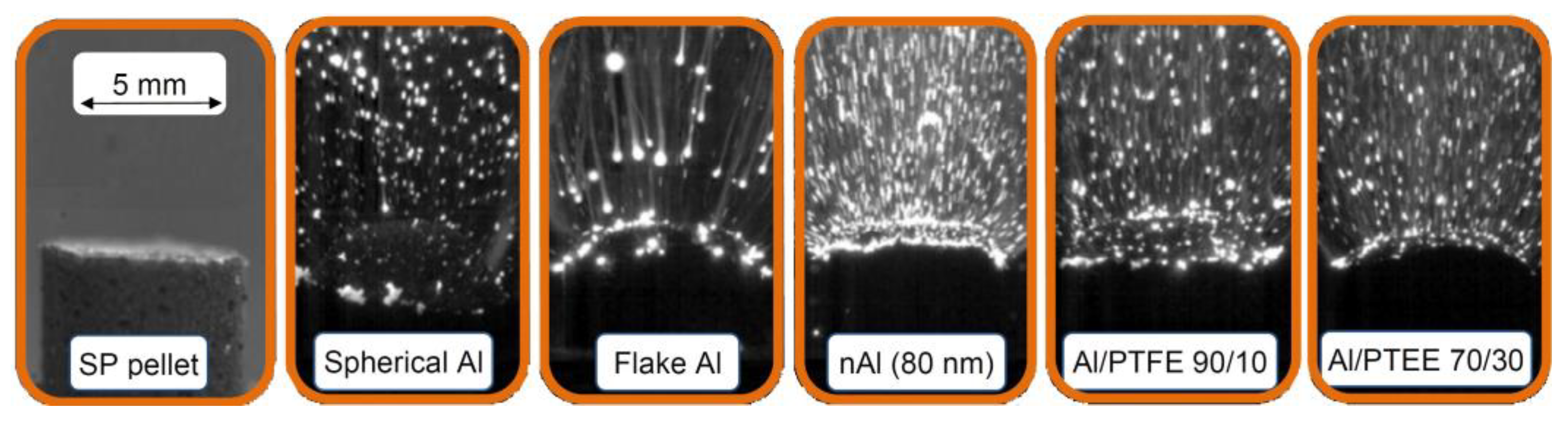 Preprints 97440 g006