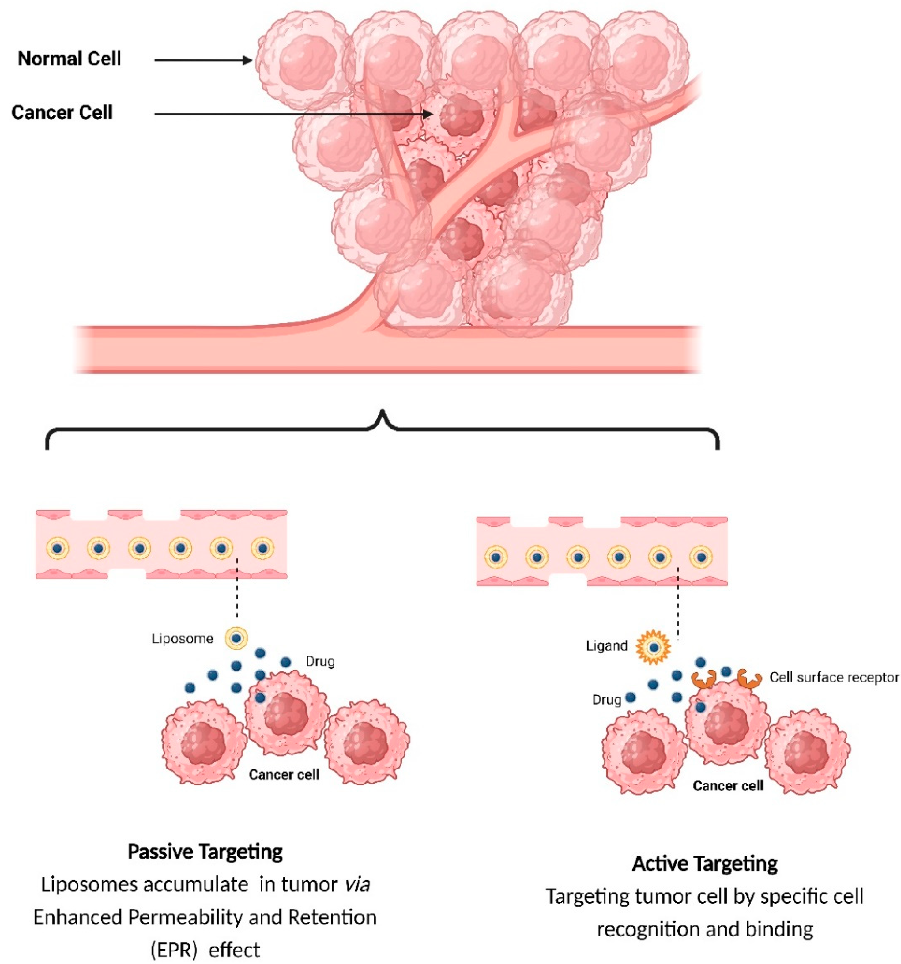 Preprints 93289 g004