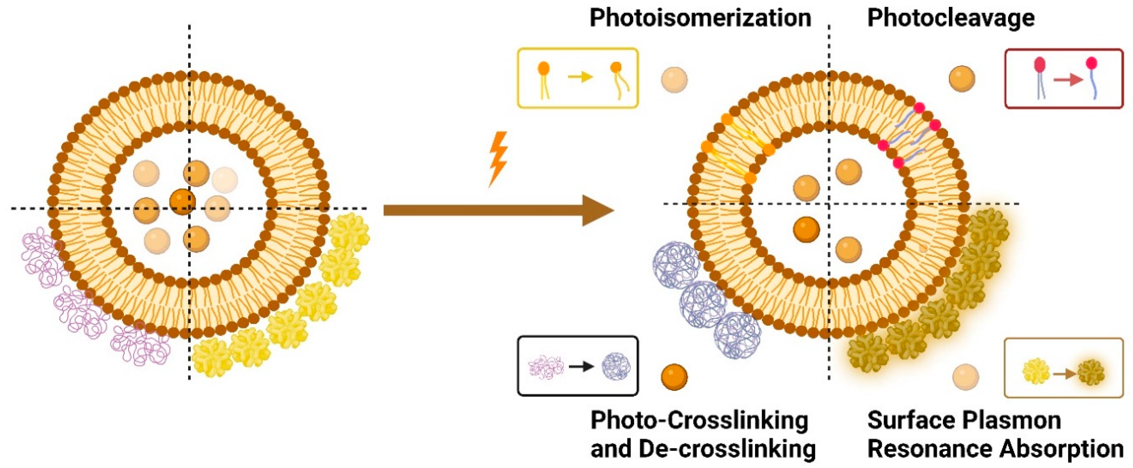 Preprints 93289 g006