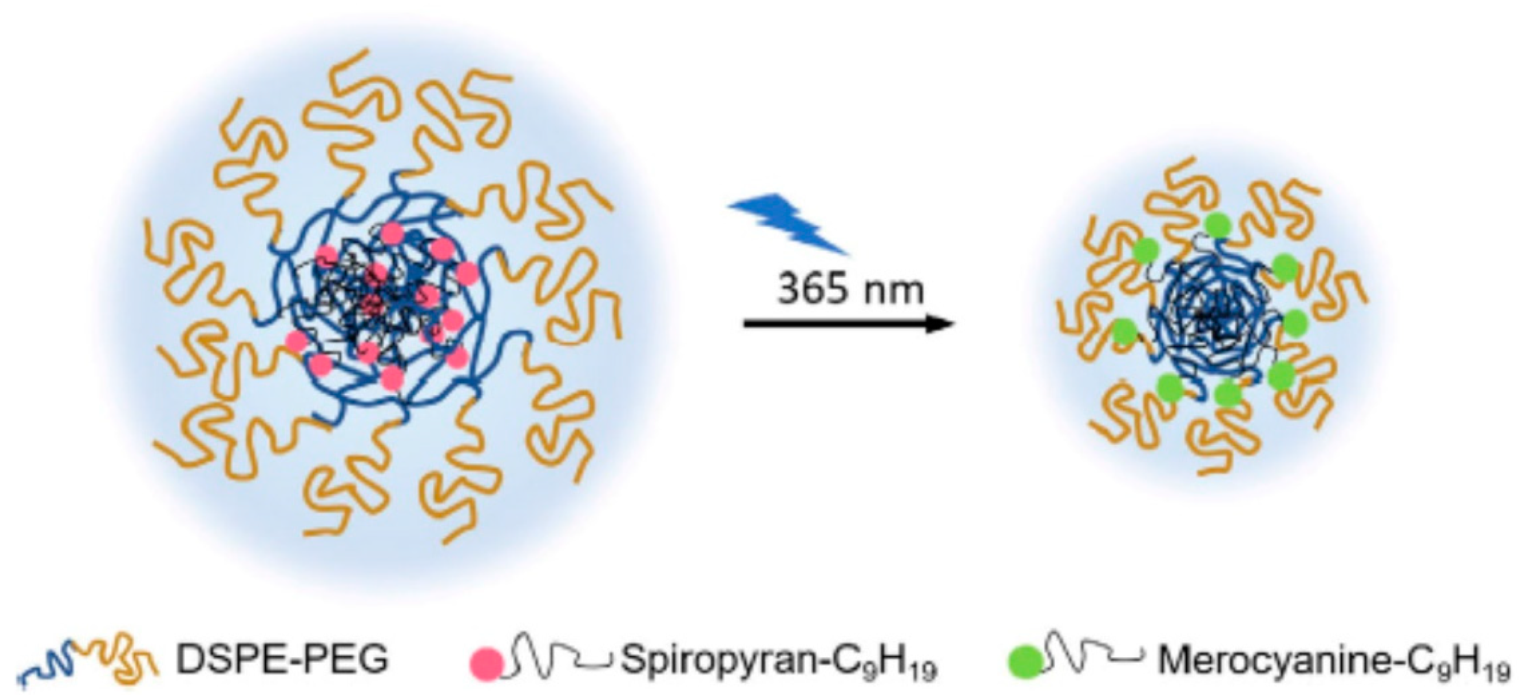 Preprints 93289 g011