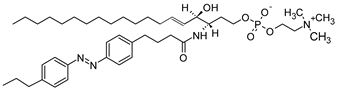 Preprints 93289 i017