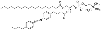 Preprints 93289 i018