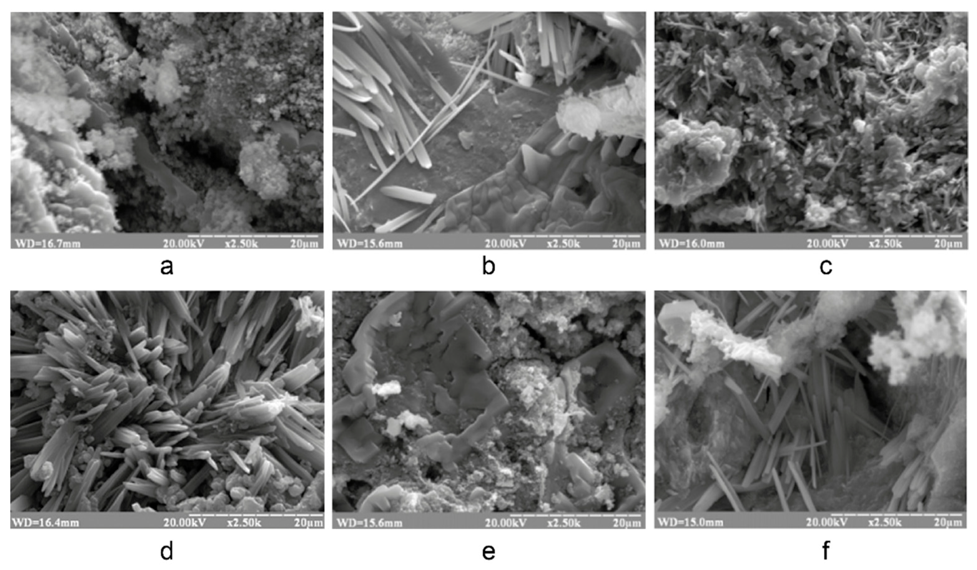 Preprints 91779 g002