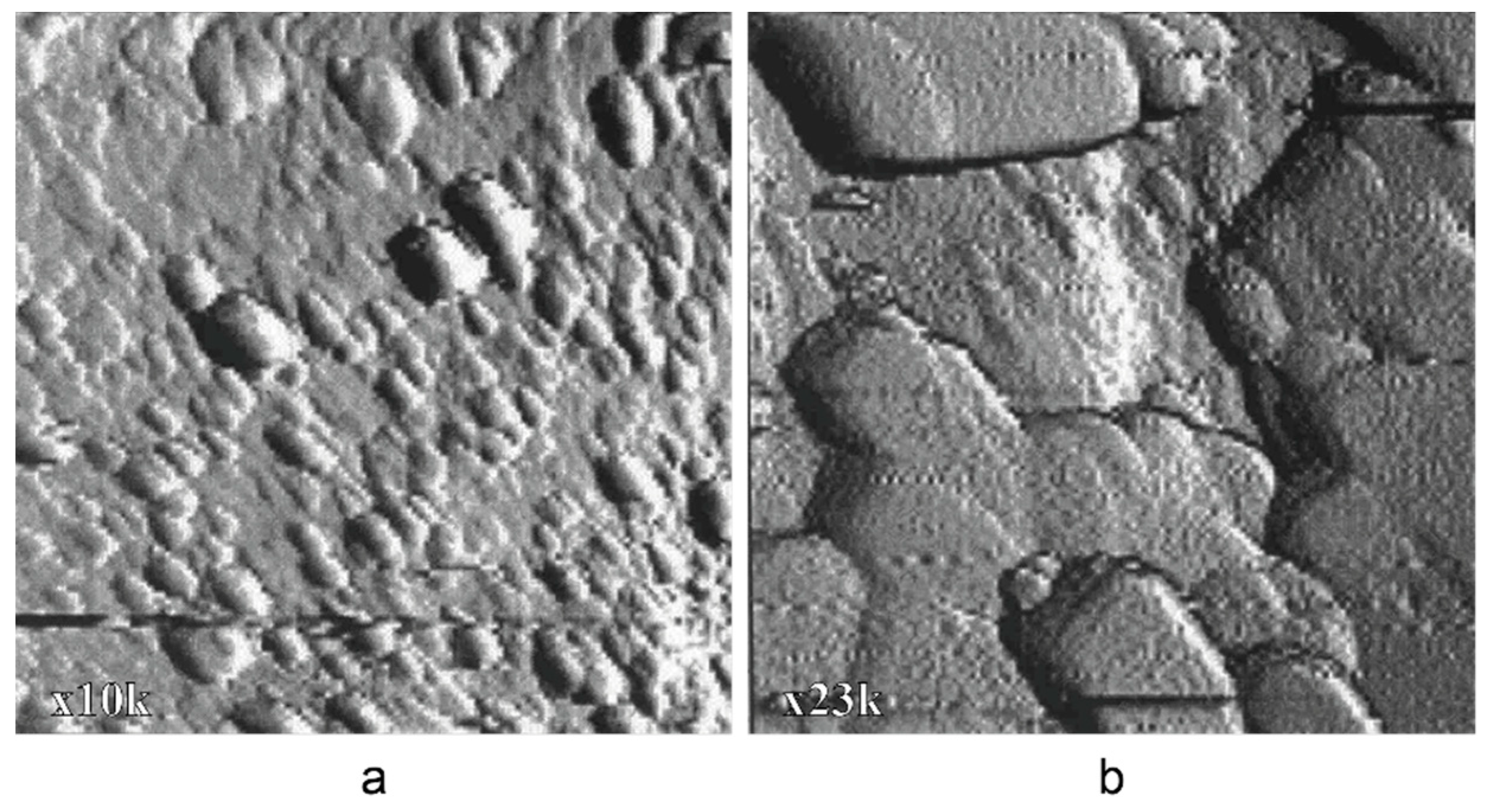 Preprints 91779 g006