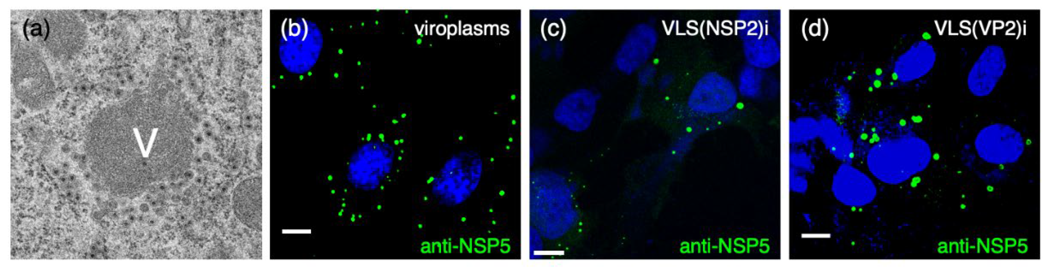 Preprints 102230 g001