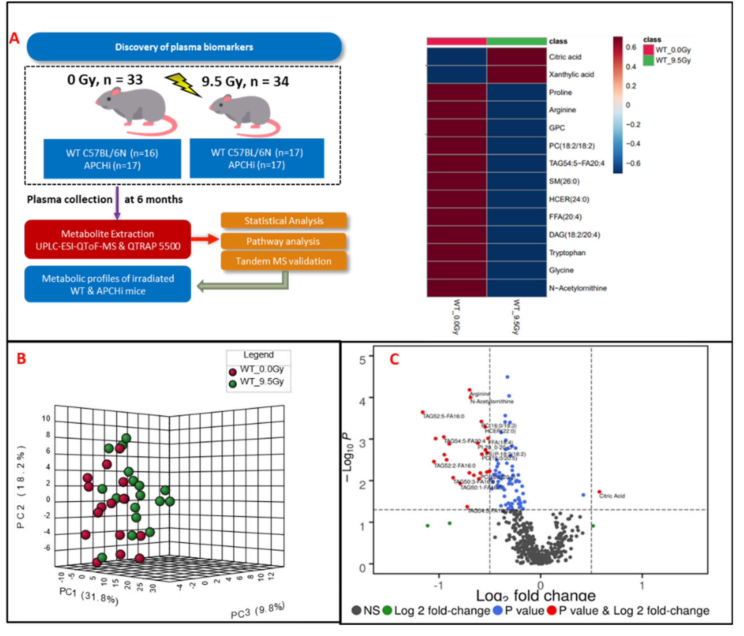 Preprints 102541 g001