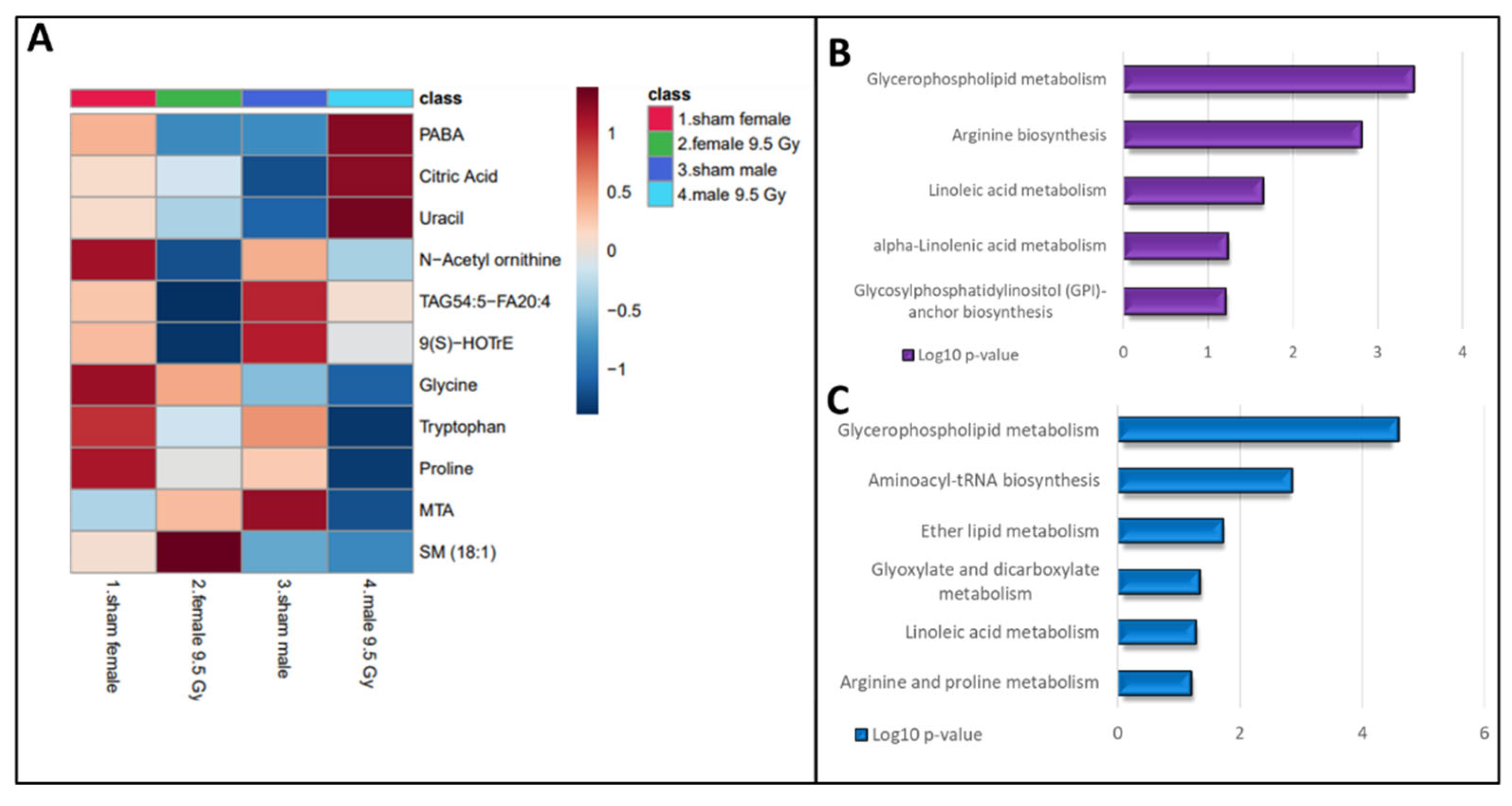 Preprints 102541 g004