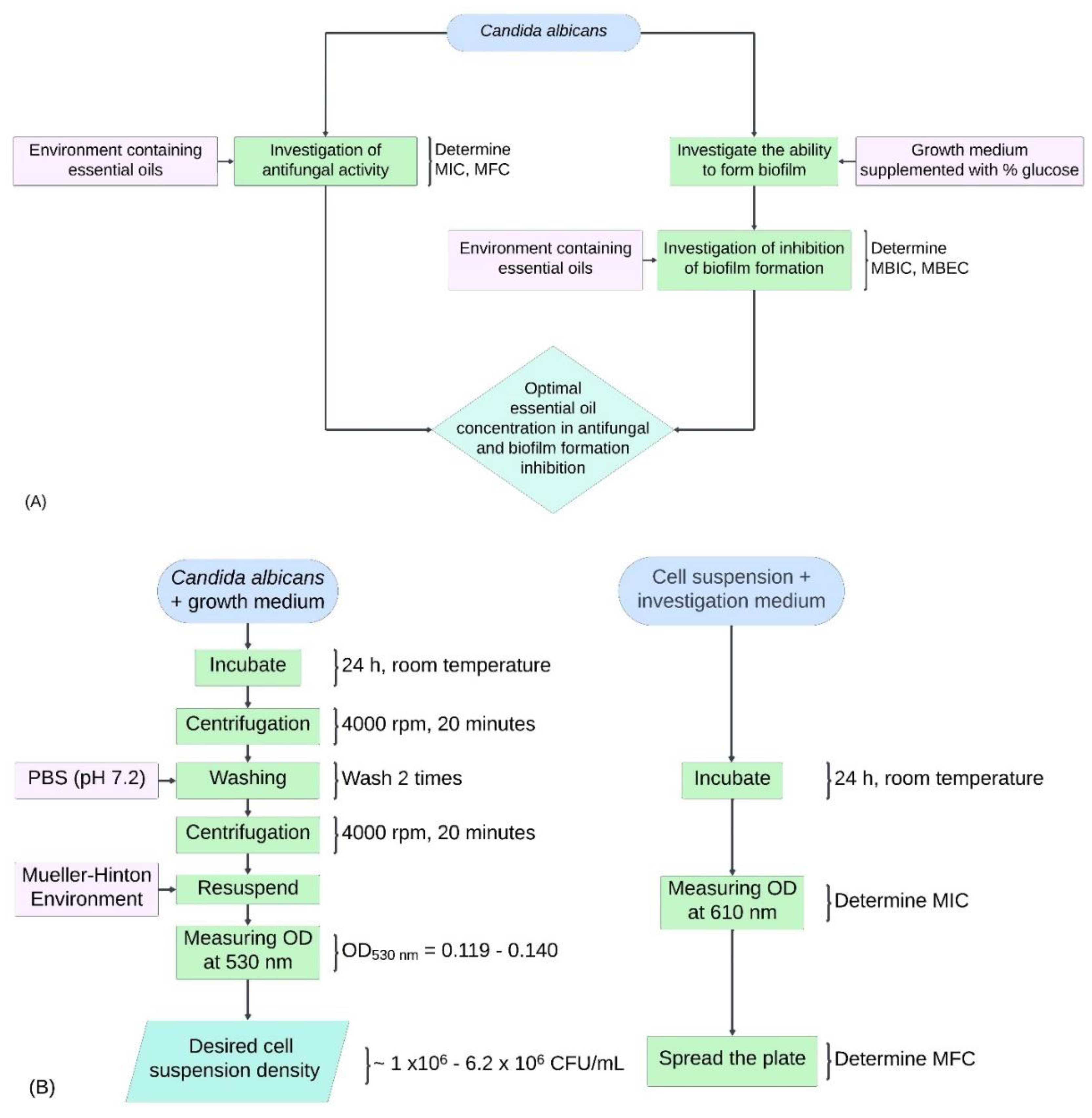 Preprints 117247 g001a