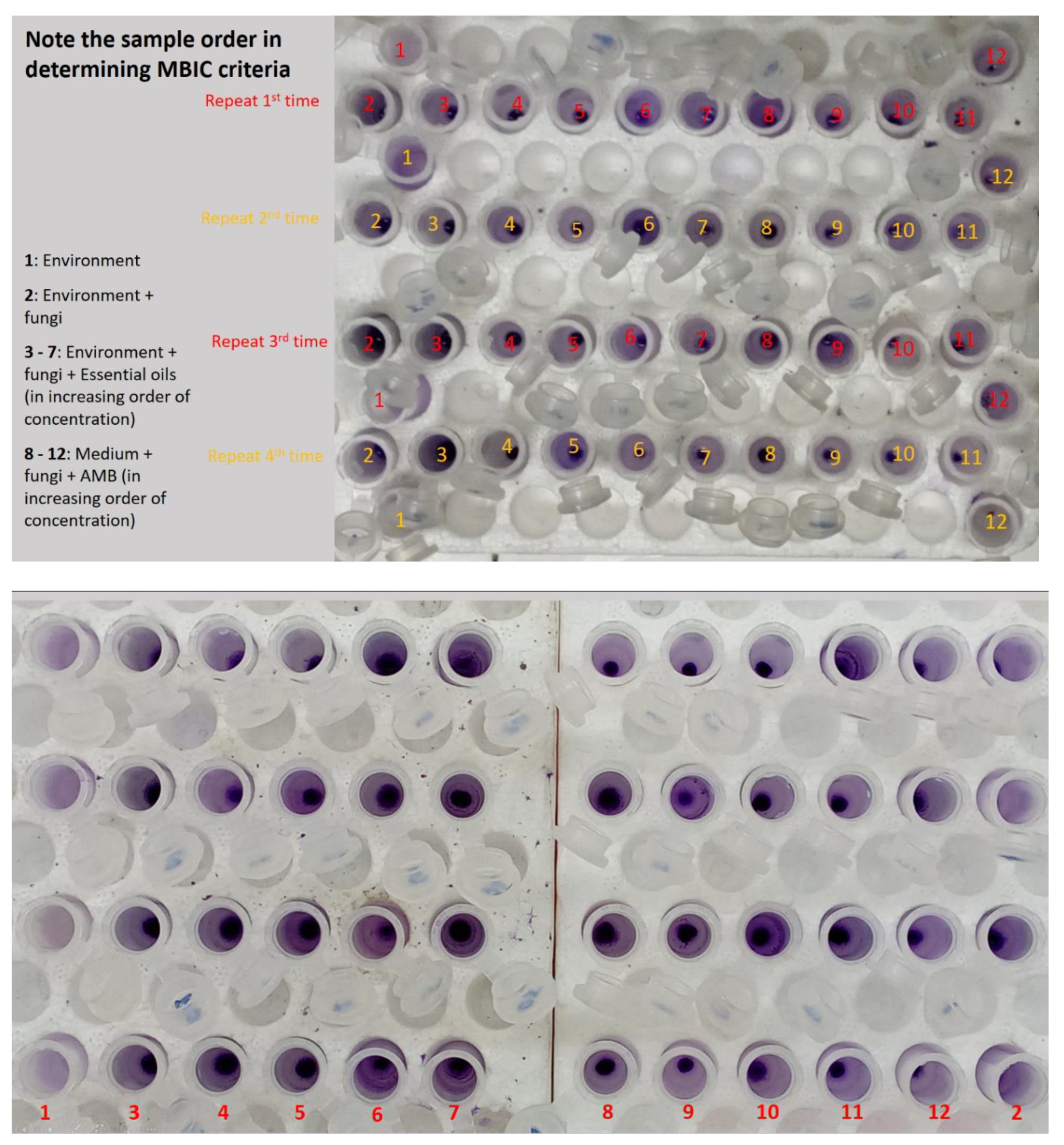 Preprints 117247 g008