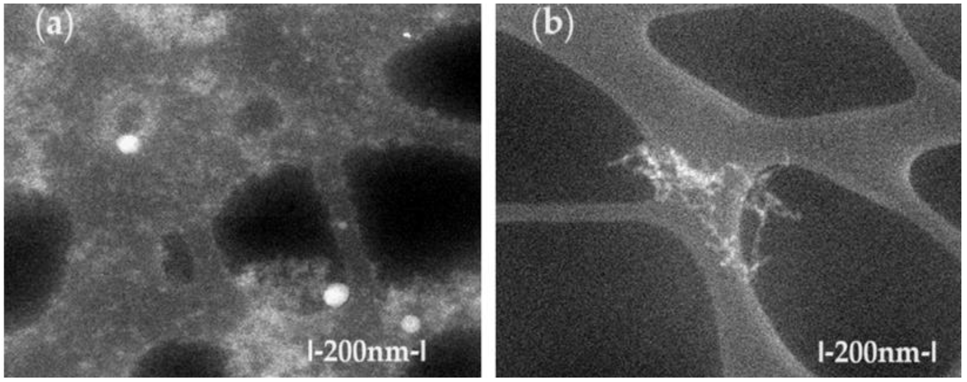 Preprints 100621 g002