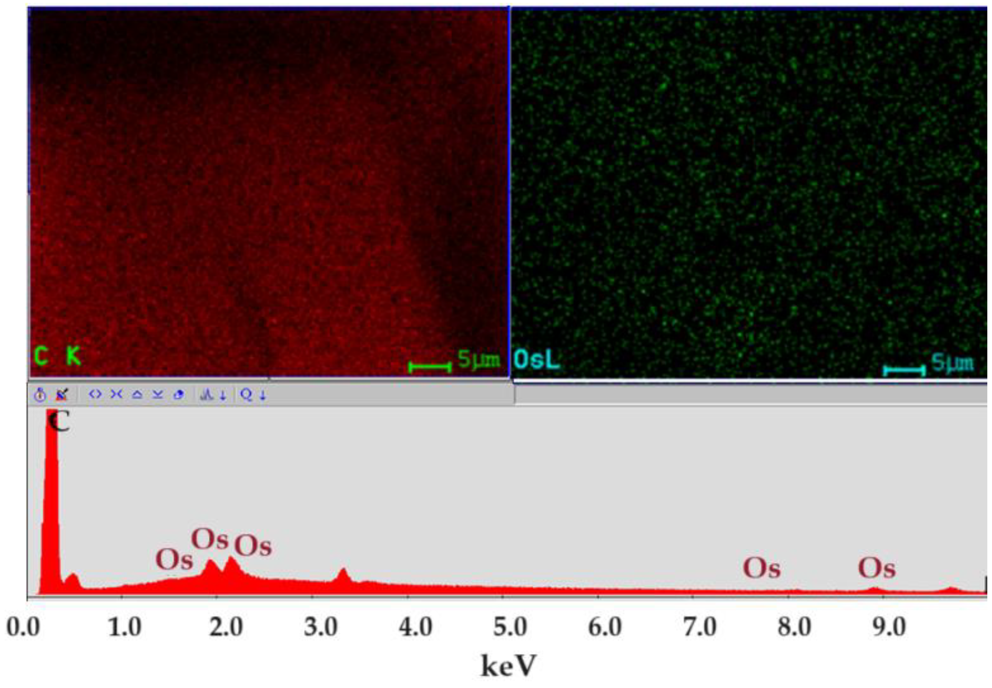 Preprints 100621 g005