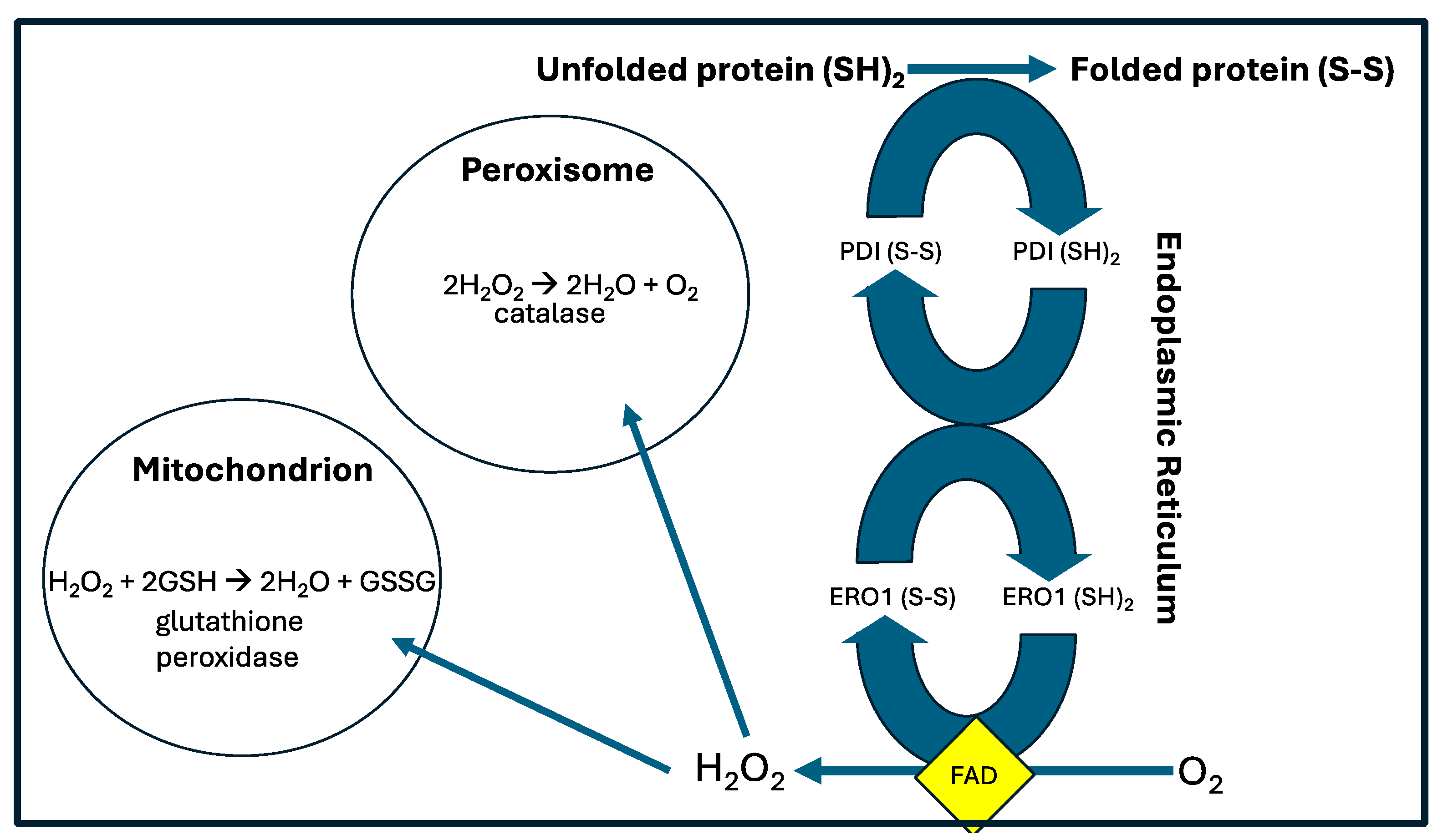 Preprints 109700 g002