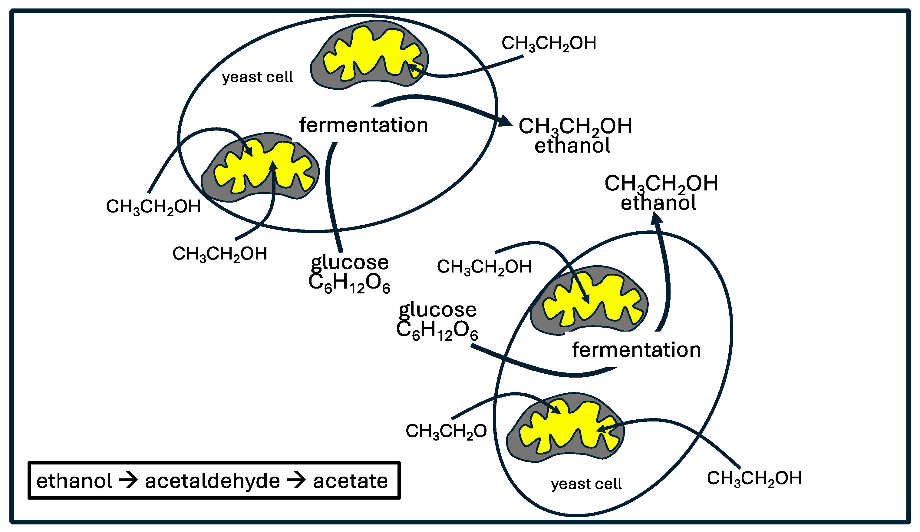 Preprints 109700 g003