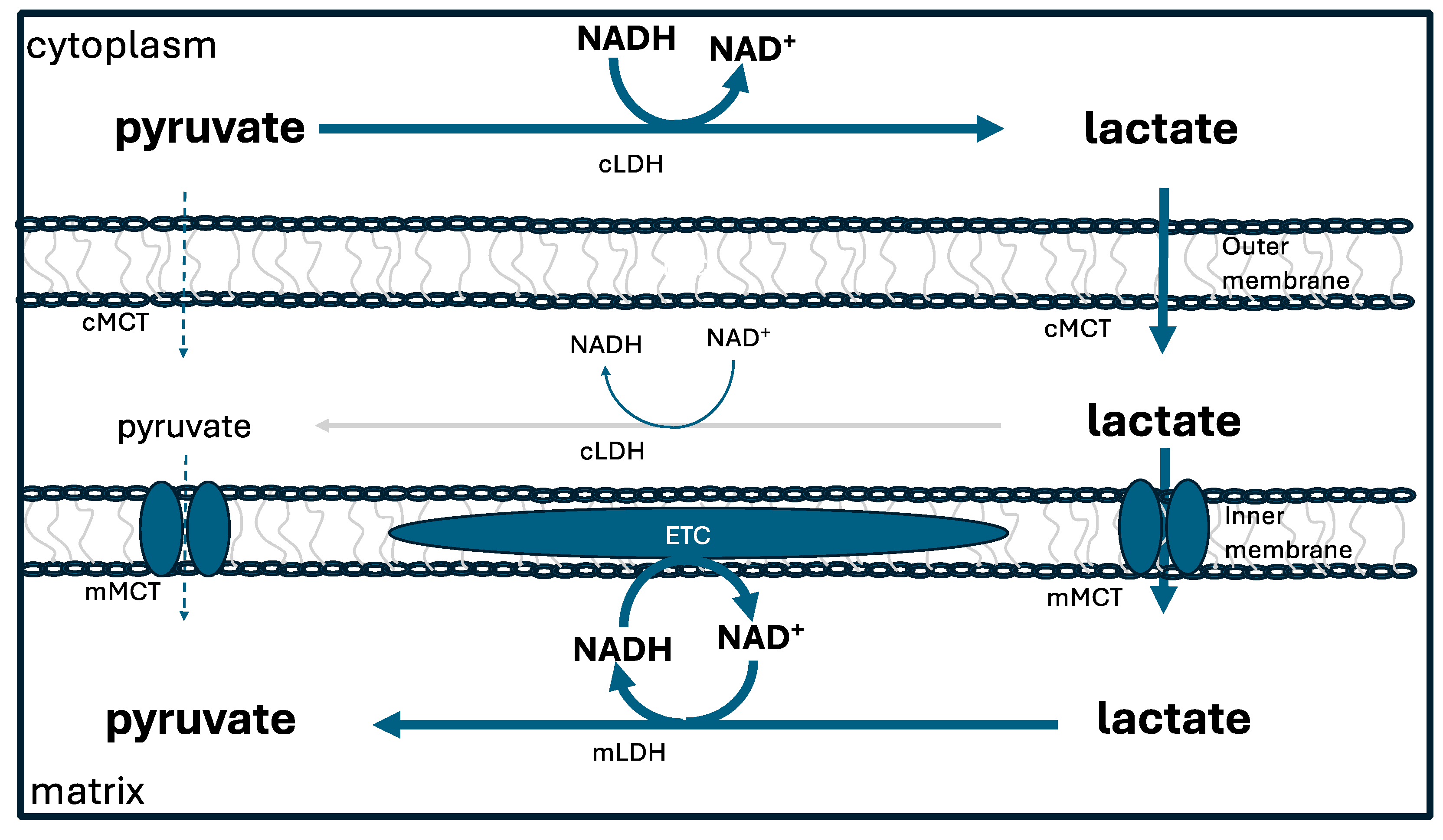 Preprints 109700 g004