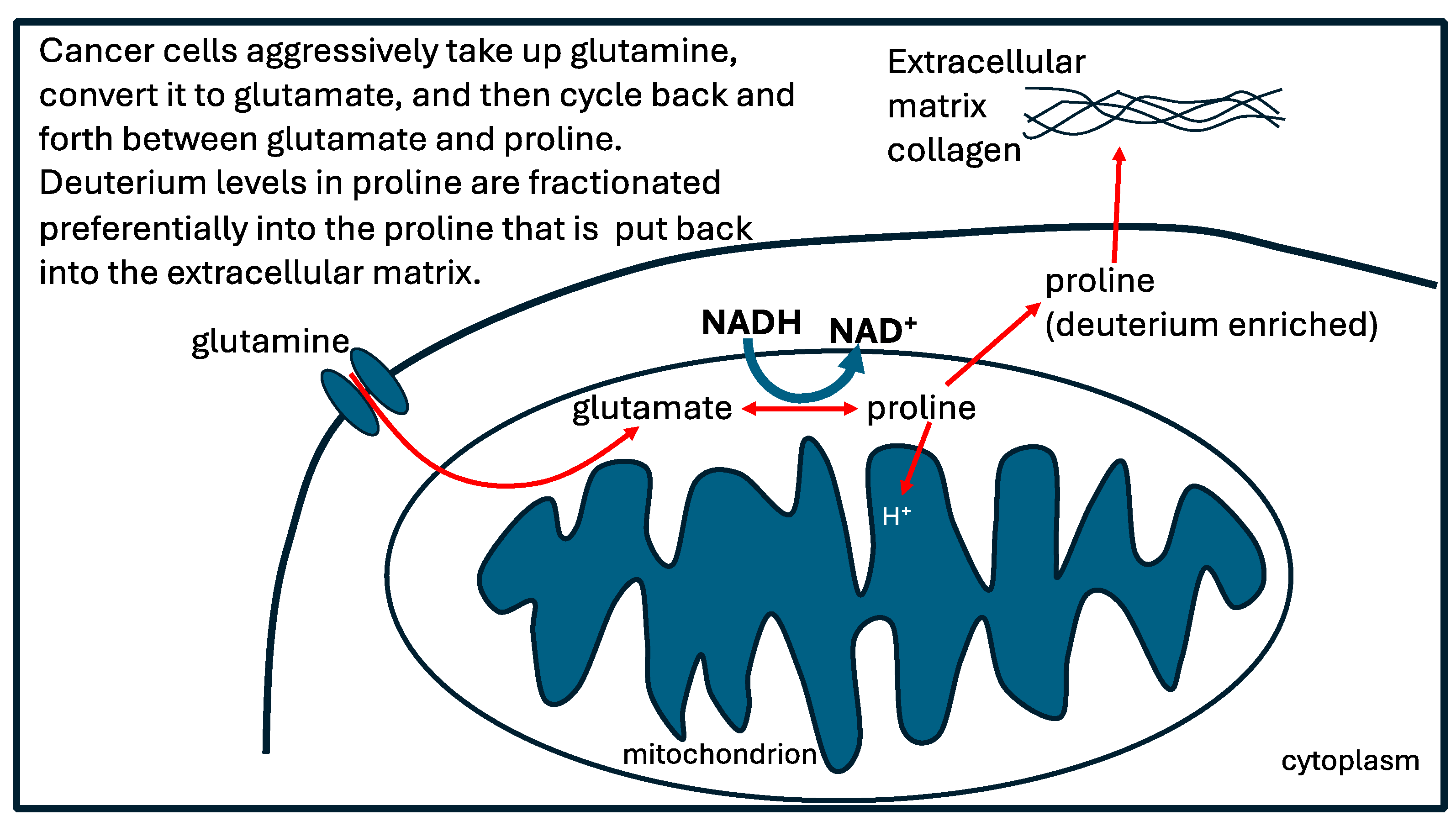 Preprints 109700 g005