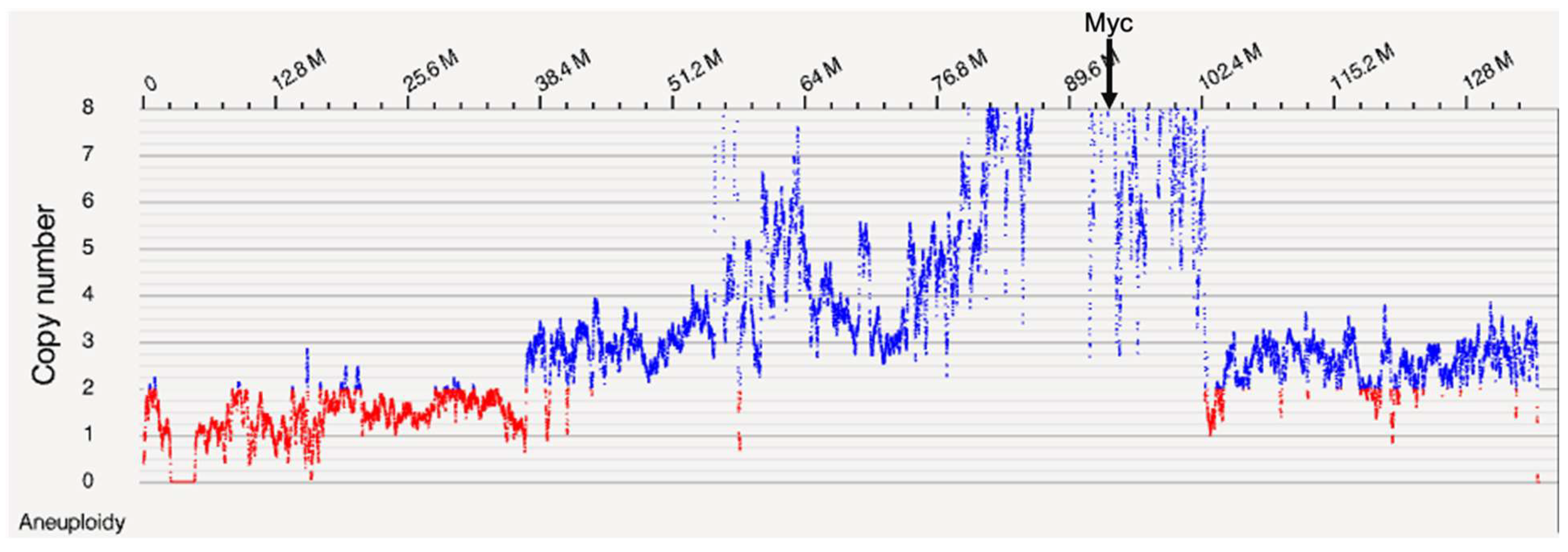 Preprints 118969 g001